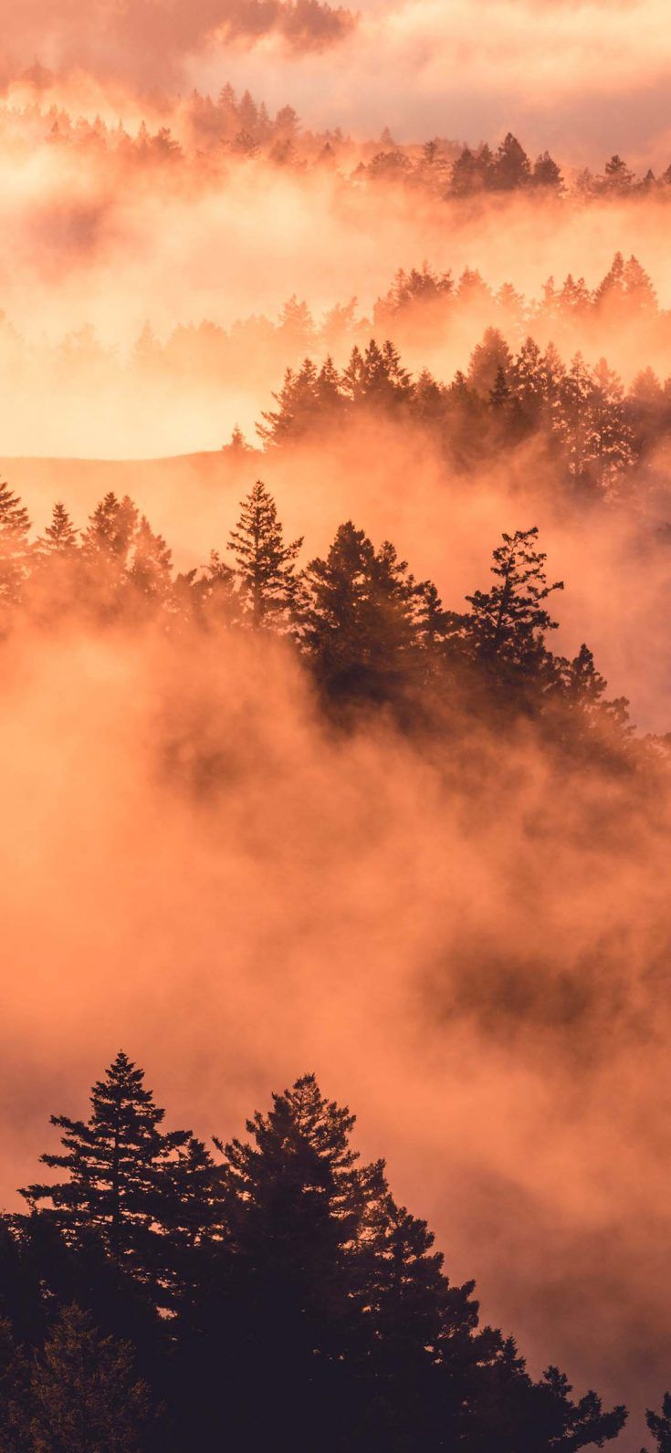 Fall Wallpaper for iPhone