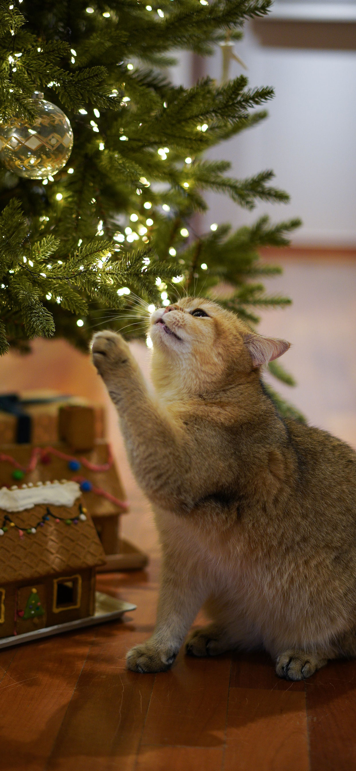 iPhone Cute Christmas Wallpaper