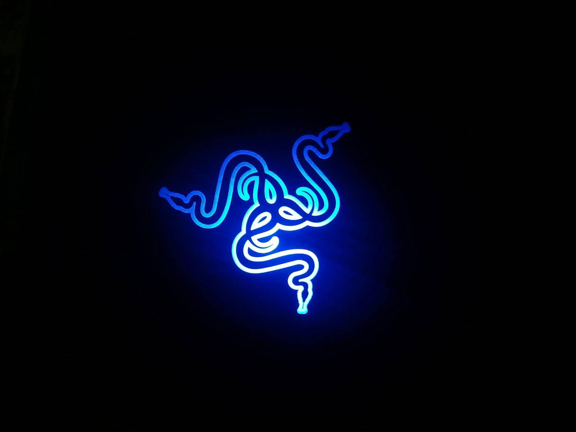 Blue Neon 4k Wallpaper. Wallpaper