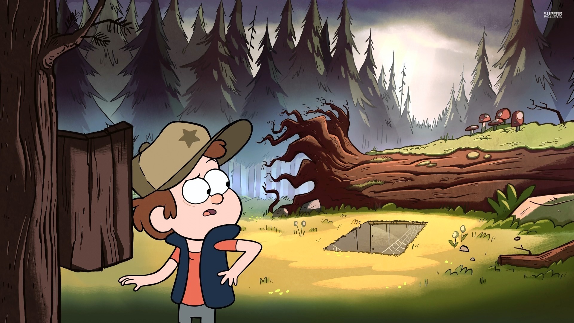 Wallpaper Forest, Gravity Falls