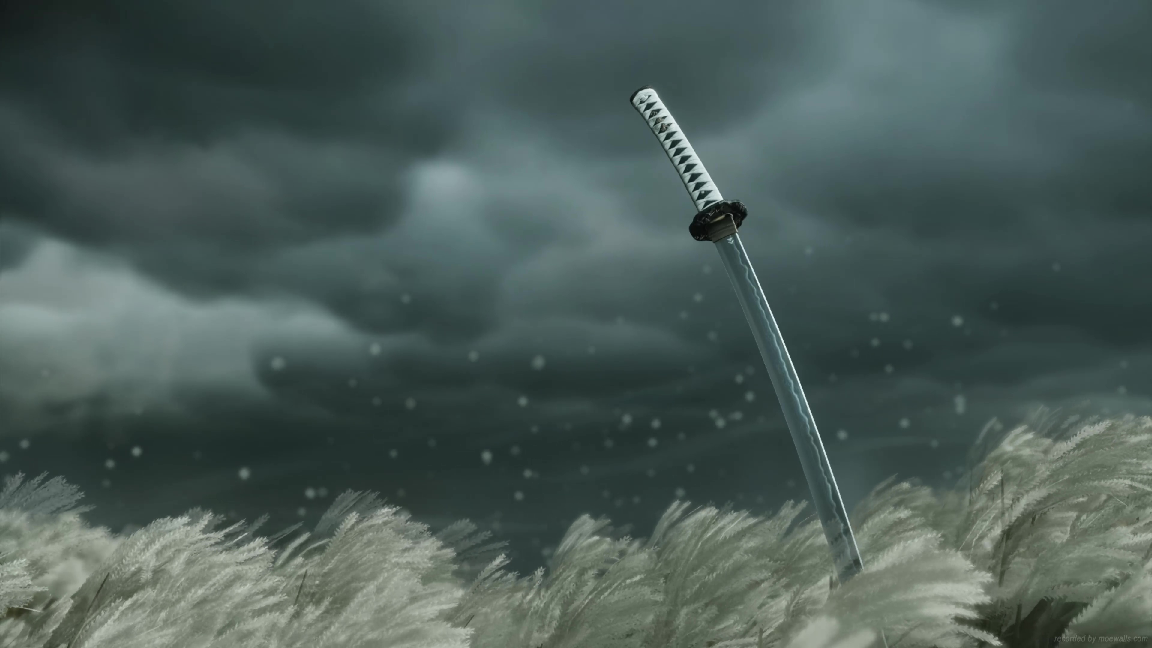 Field Ghost Of Tsushima Live Wallpaper