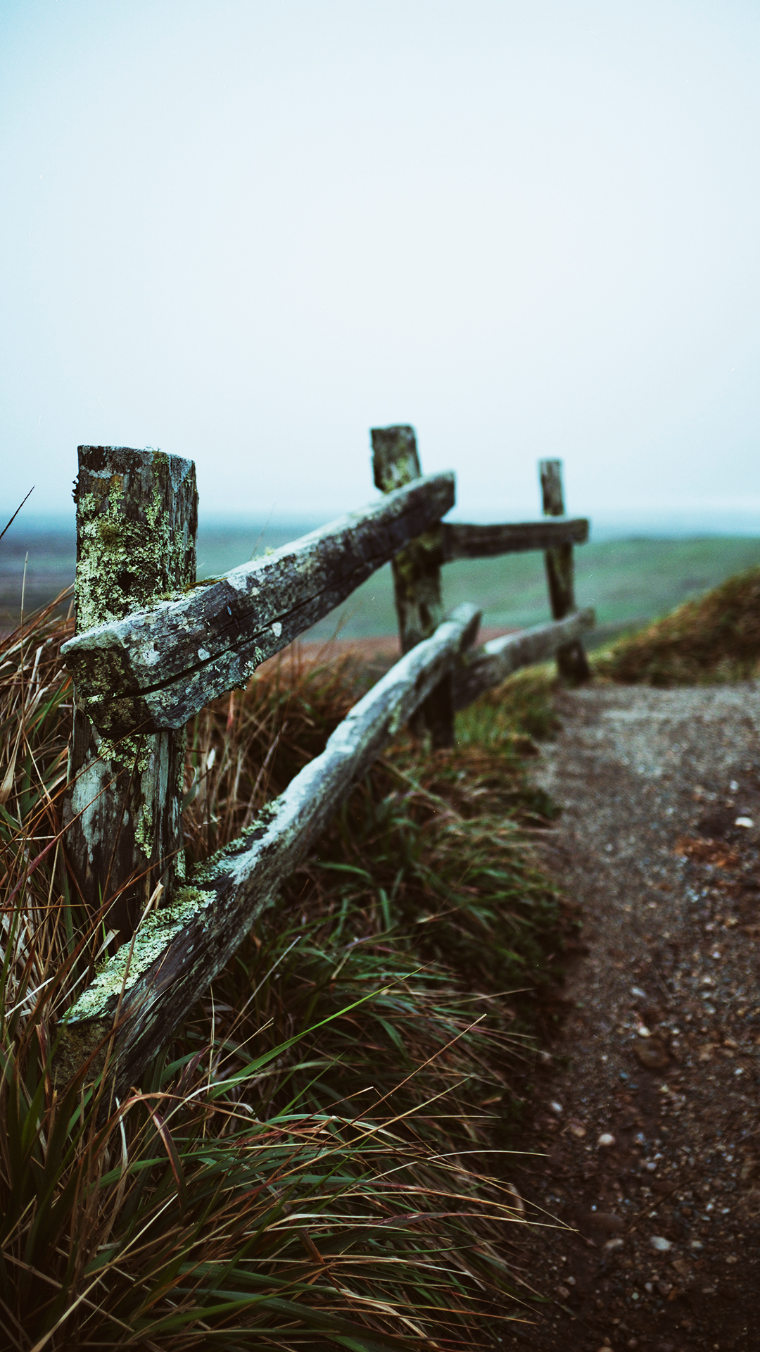 Outdoors Wallpaper iPhone 13. iPhone