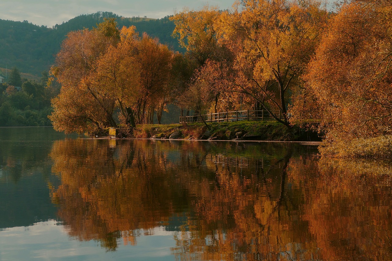 Free Ourense & Galicia Image