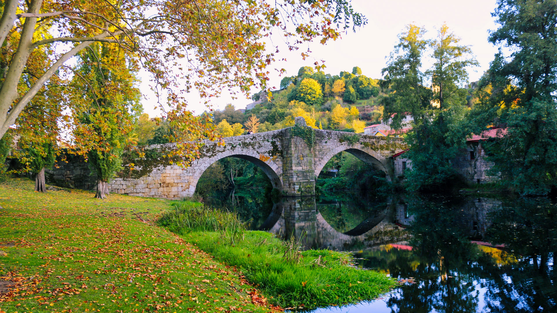 Discover Ourense, Galicia with Carrís