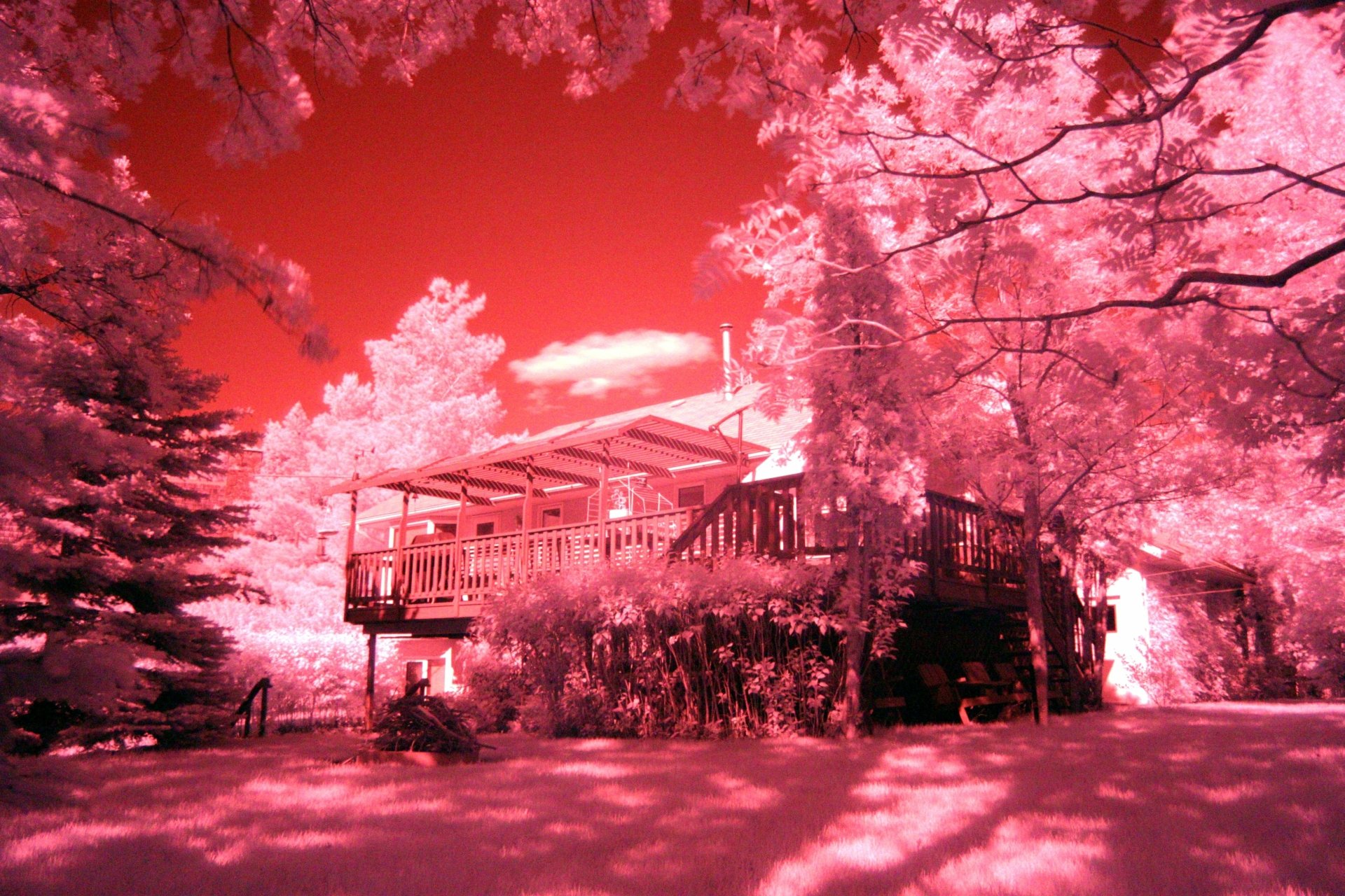 Photography Infrared 4k Ultra HD Wallpaper