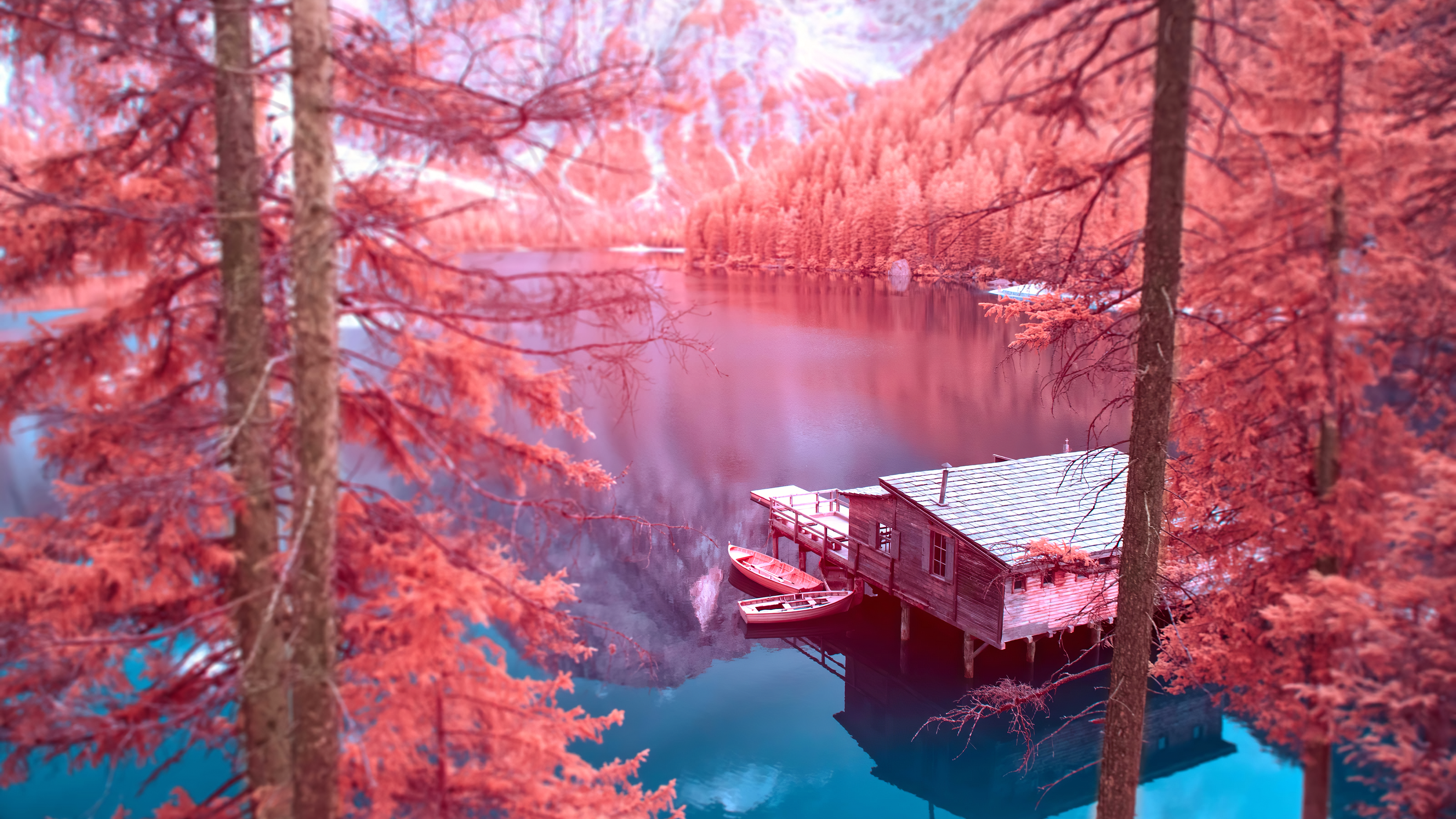Dreamy Infrared Cabin Ultra HD