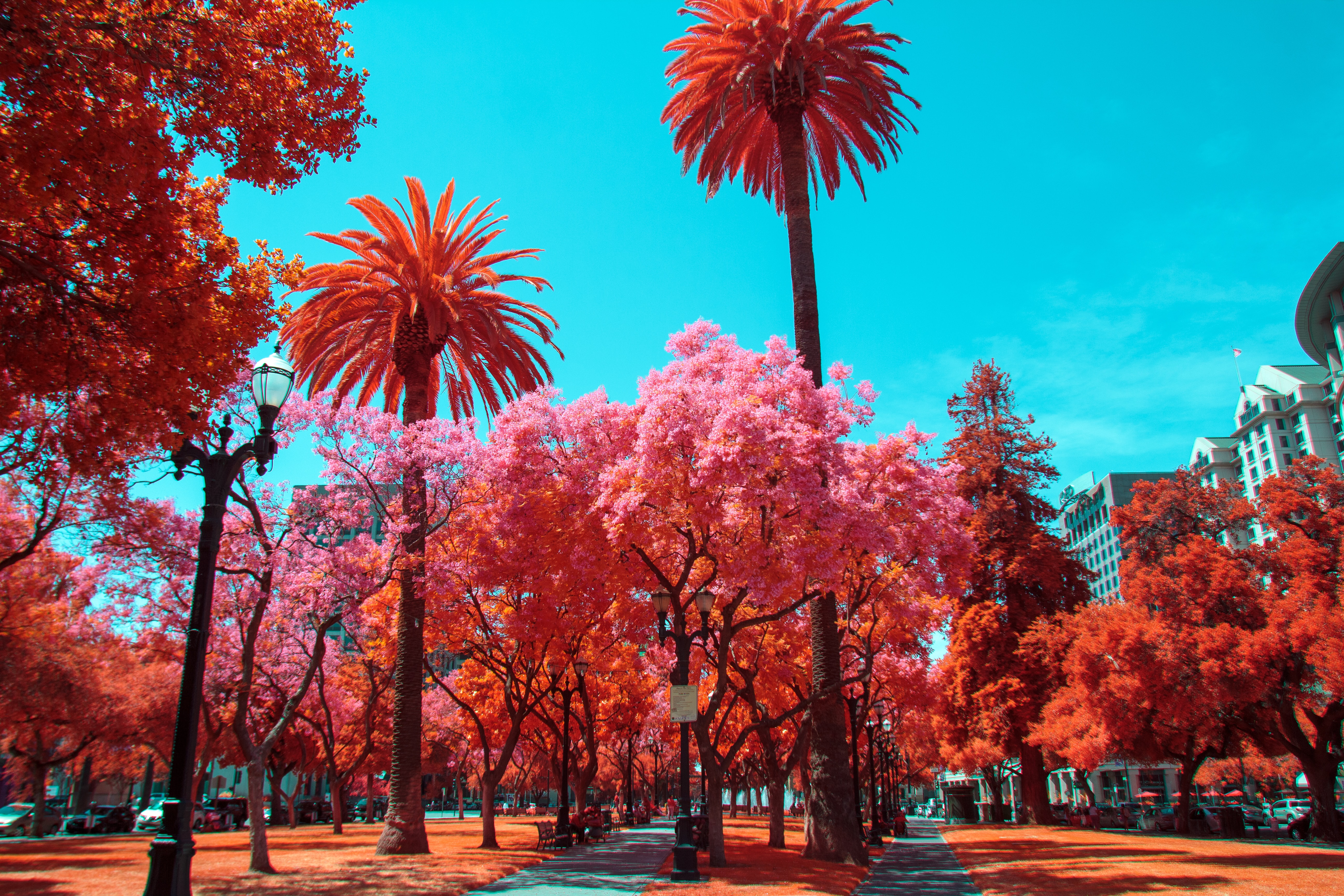 Download Photography Infrared 4k Ultra