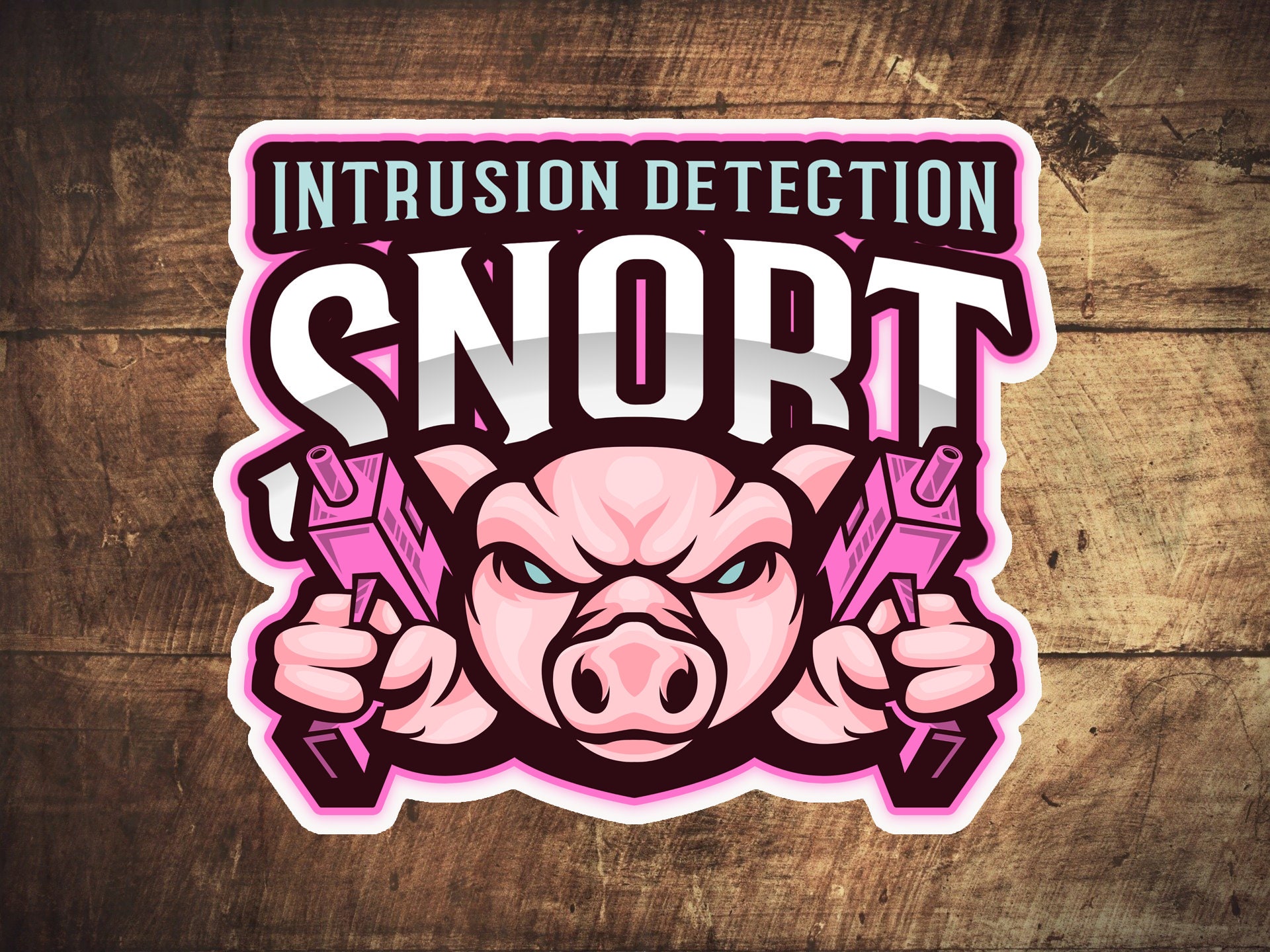 Cyber Security Snort Intrusion