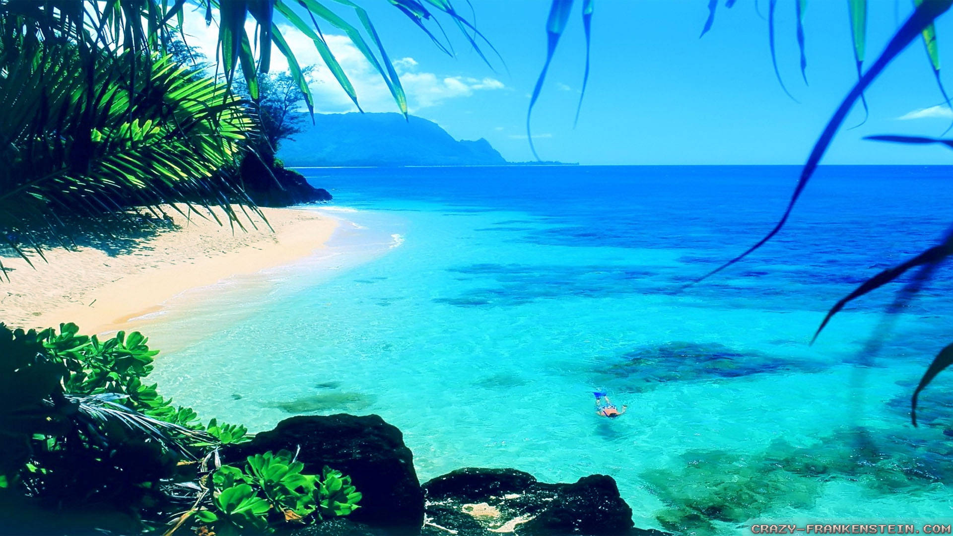 Best Summer Vibe Wallpaper