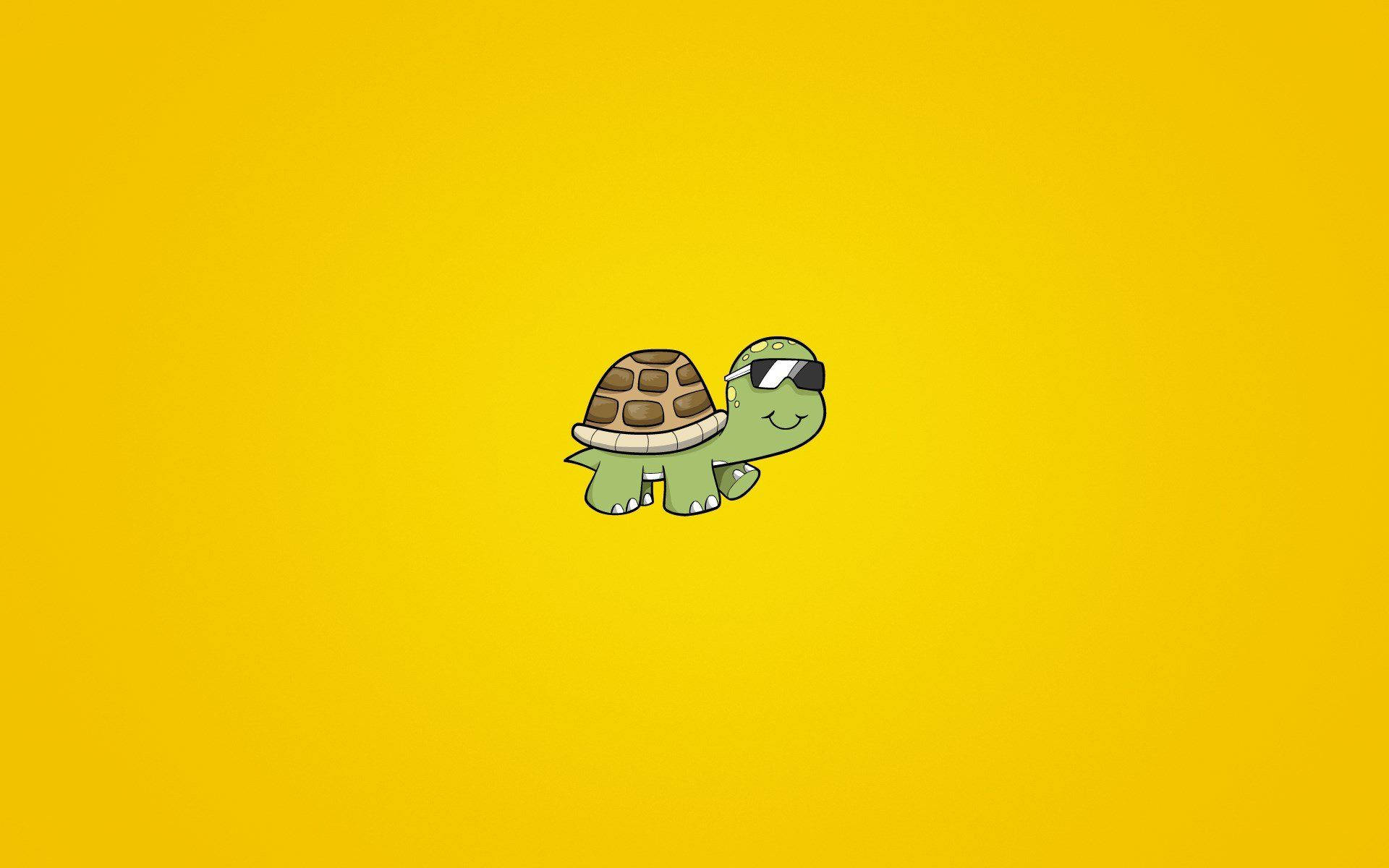 Cartoon Turtle With Sunglasses