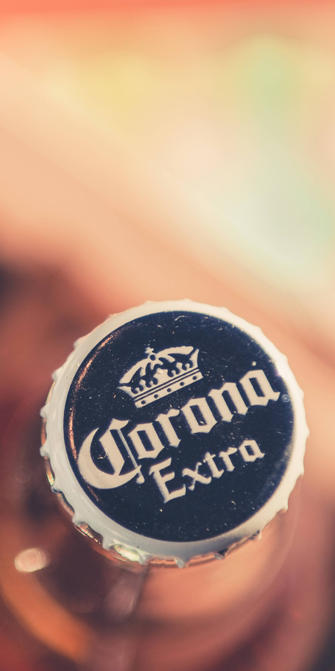Download Lager Beer Alcohol Man Made
