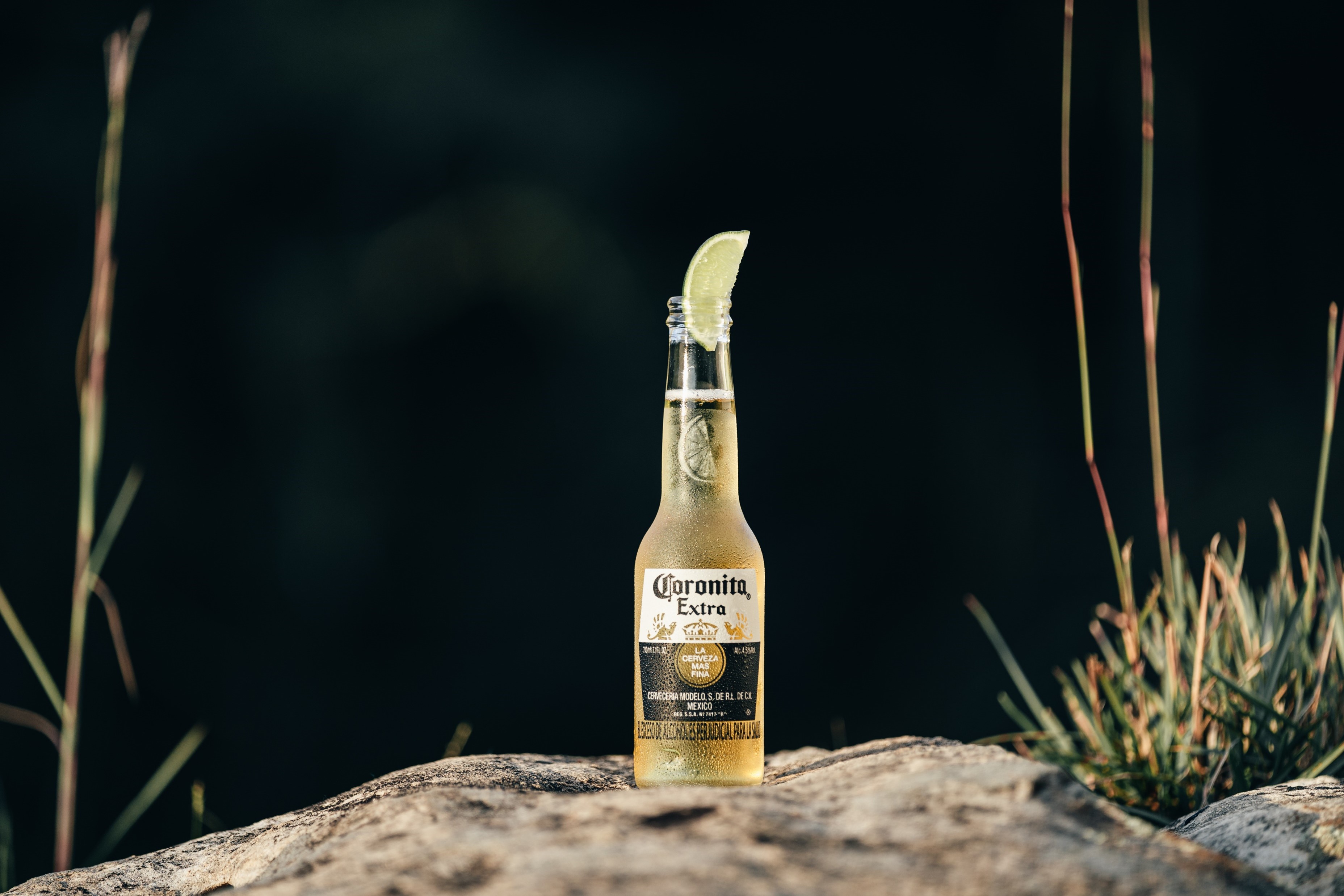 Lime Bottle Raises as a New Corona Icon