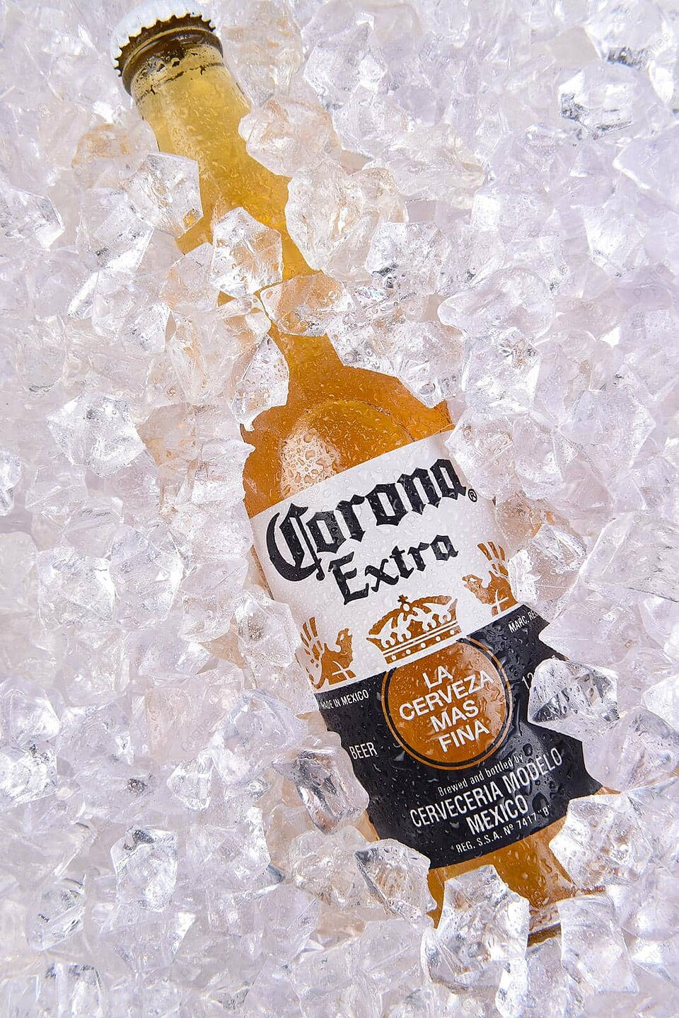 Corona Extra Beer In Ice King Product