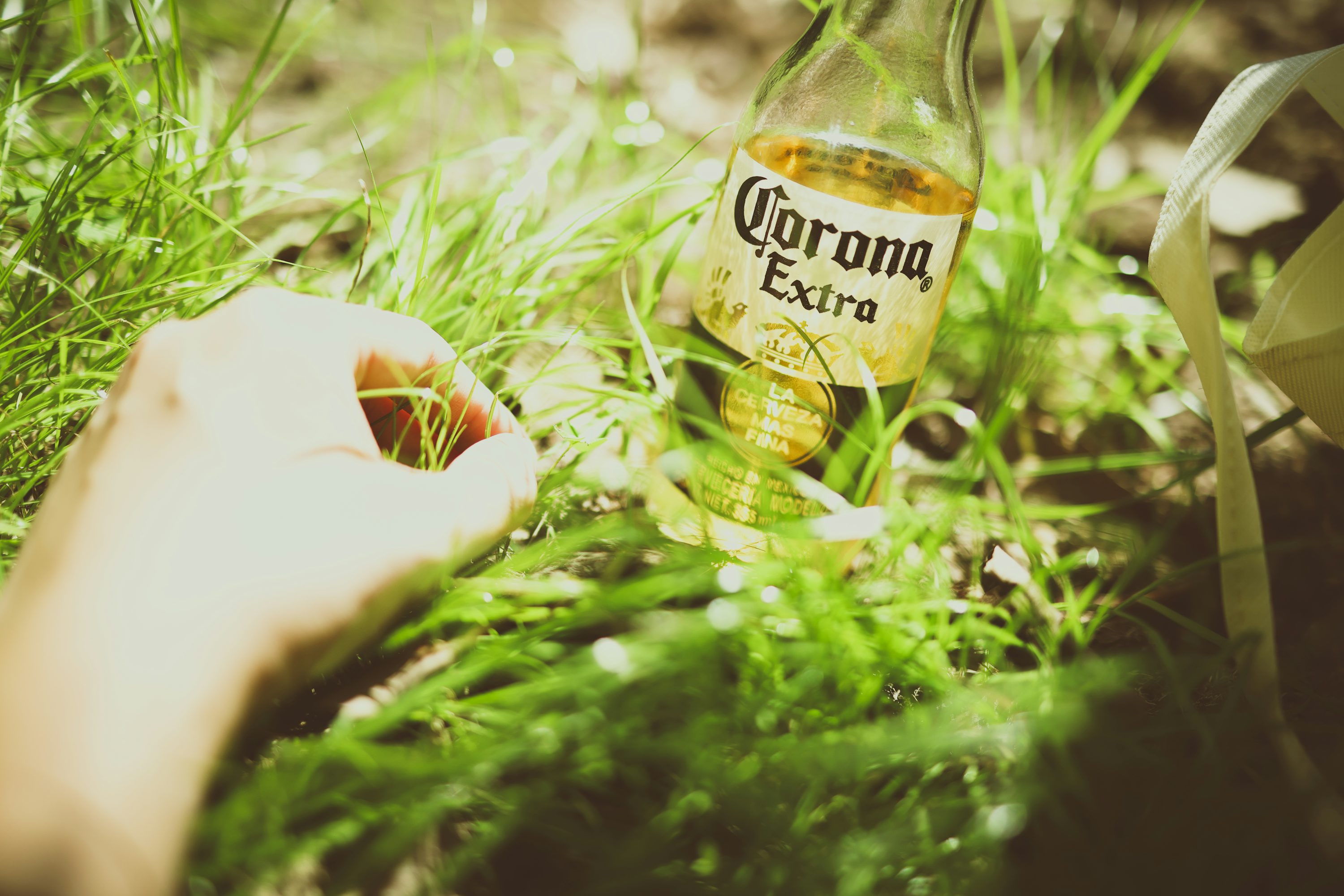 Corona Beer Picture. Download