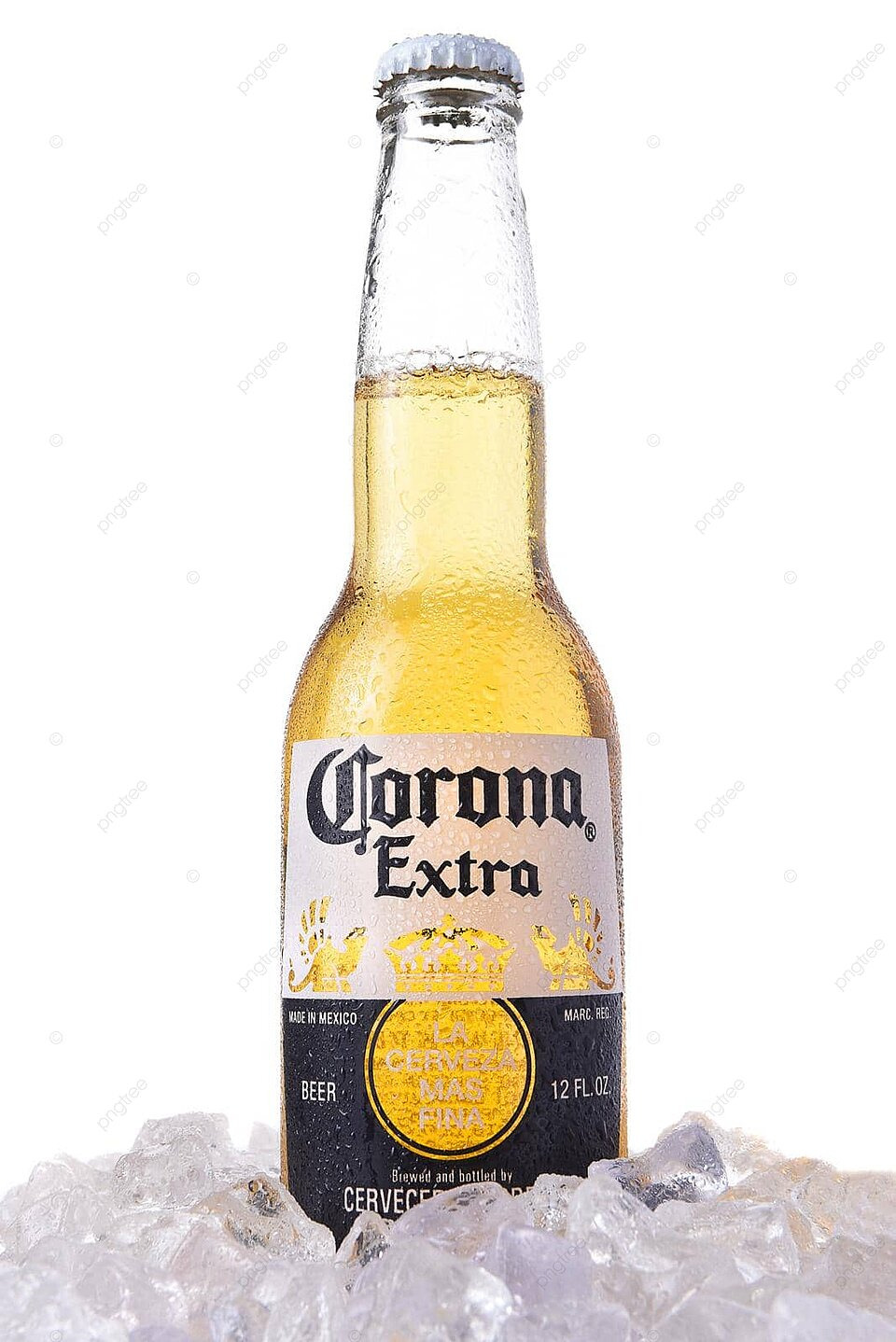 Corona Extra Beer In Ice Alcohol