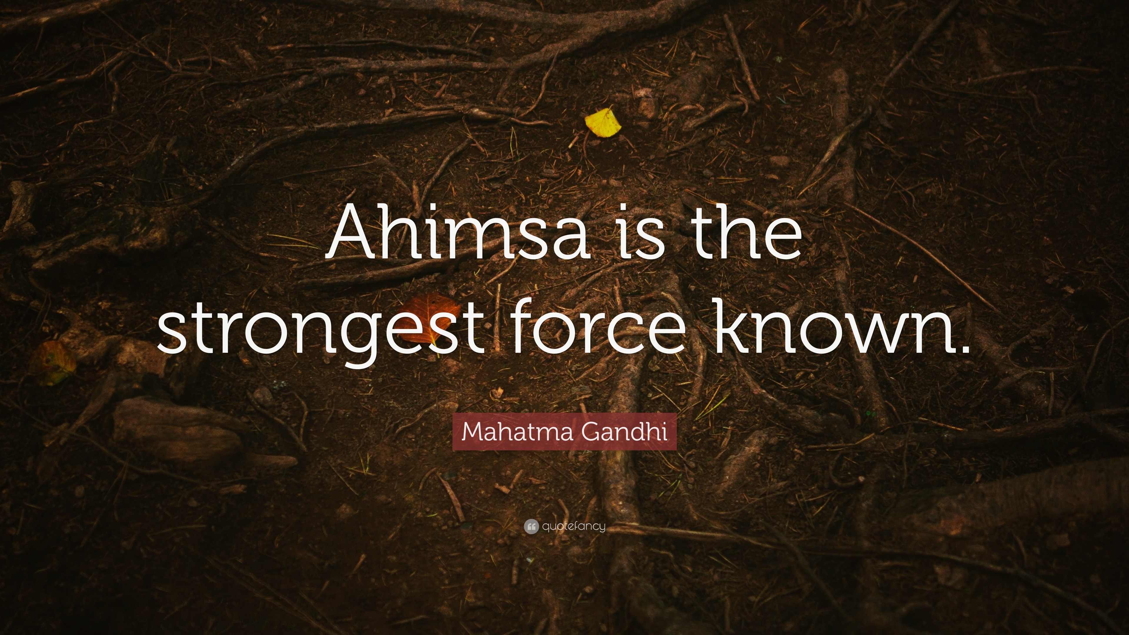 Mahatma Gandhi Quote: “Ahimsa is