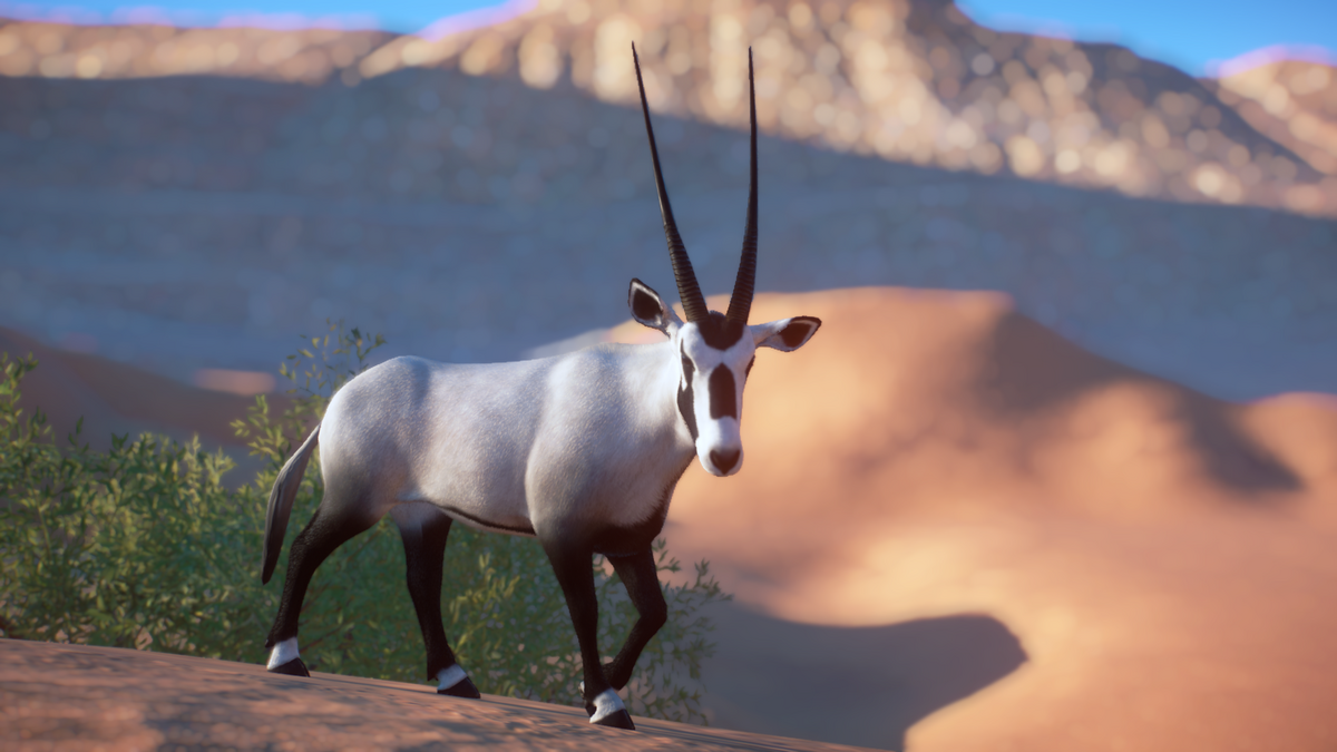 Arabian Oryx J2bex & LeafProductions