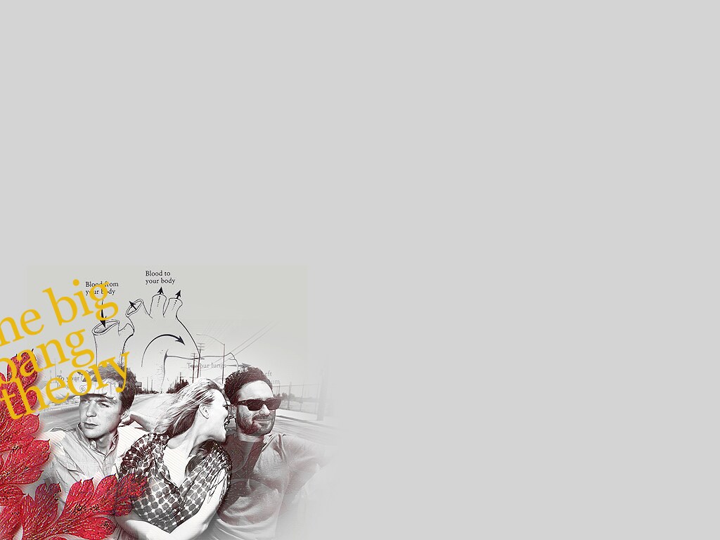 the big bang theory. made this