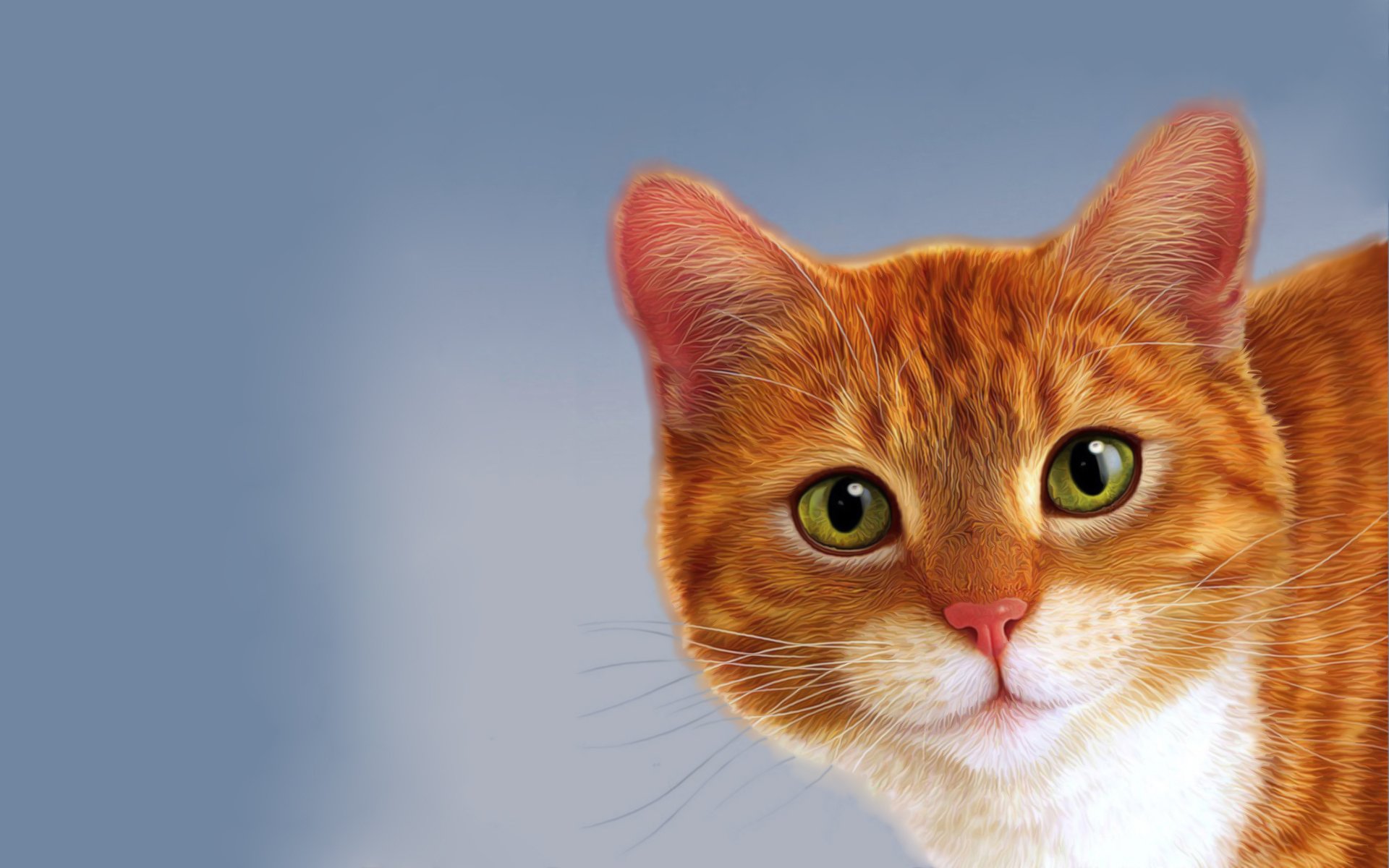 Charming Cat HD Wallpaper: A Whiskered