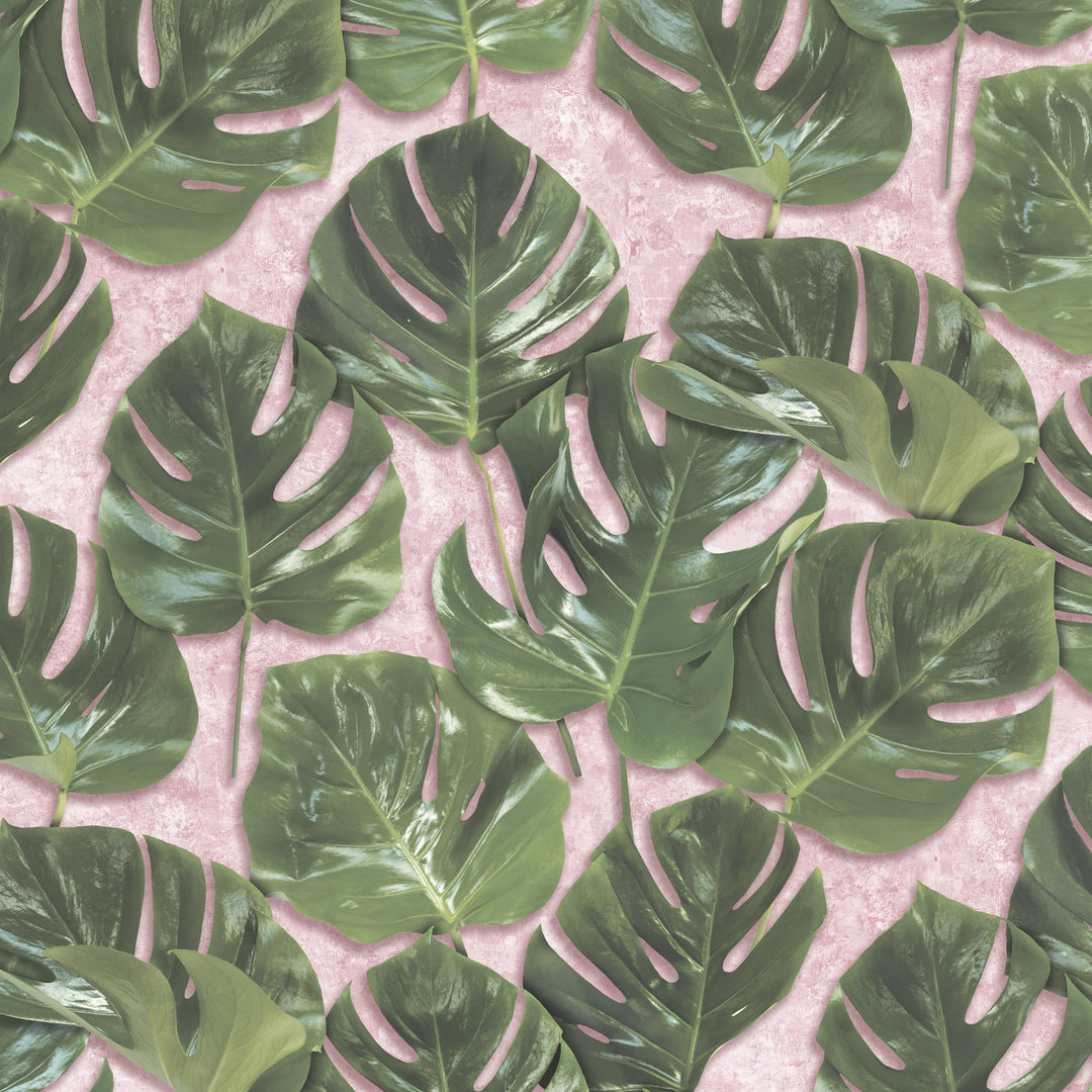 Monstera Green Blush Wallpaper Green