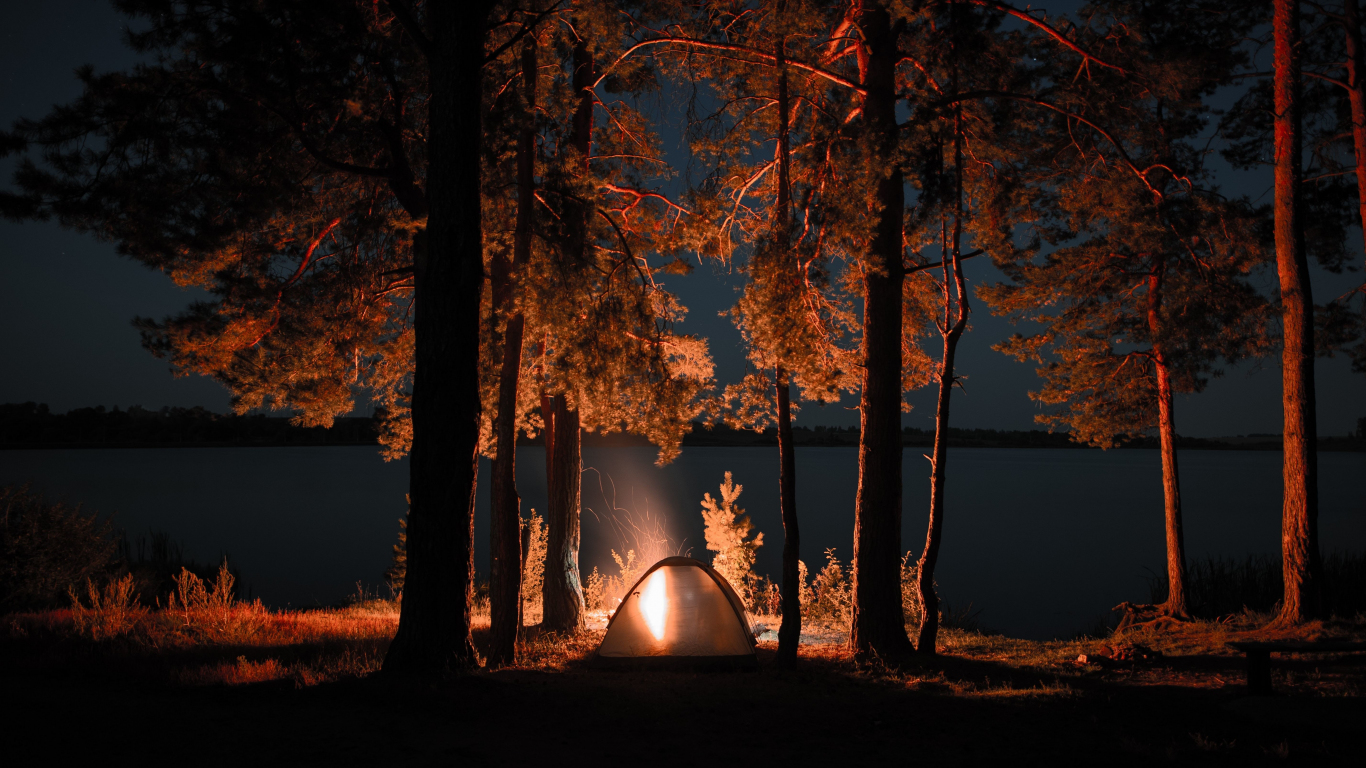 Outing campfire trees tent night