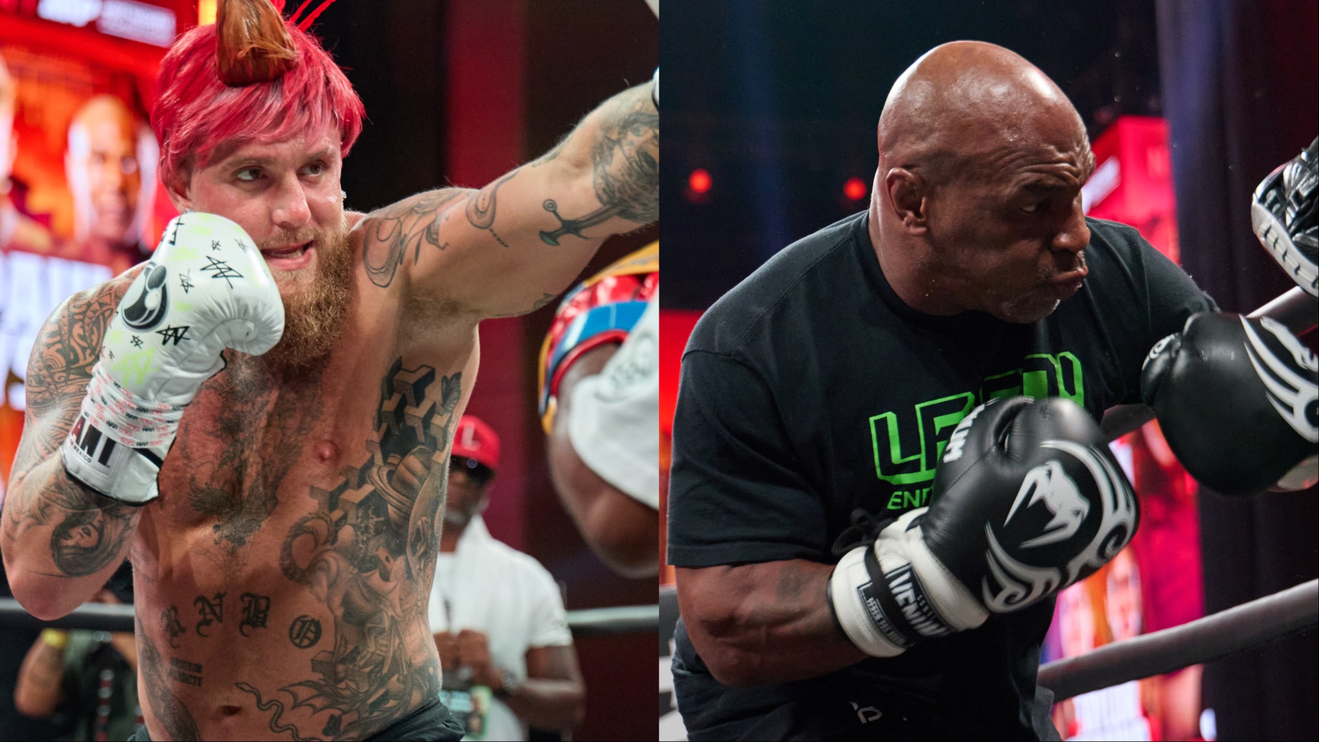 Jake Paul vs. Mike Tyson: Larry Holmes