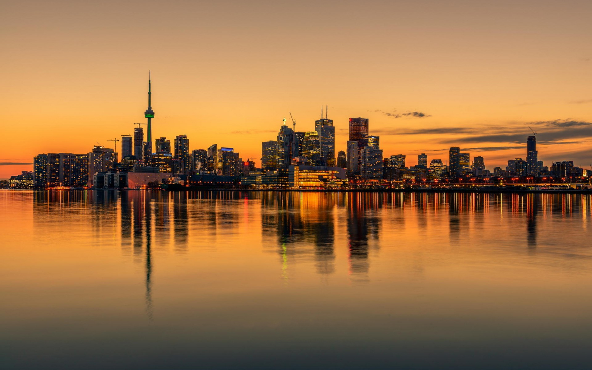 HD Wallpaper: Toronto's Stunning Man