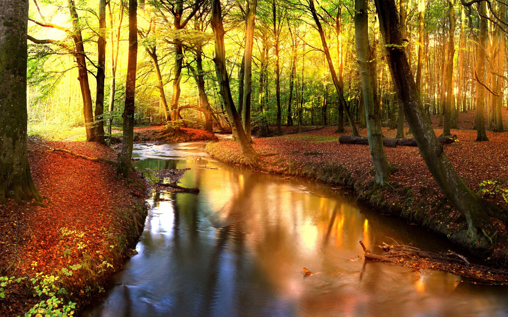 HD Wallpaper for Tranquil Moments