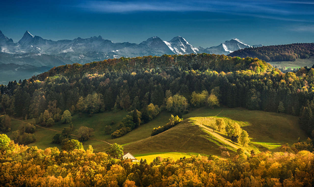 Picture Alps Switzerland Bernese