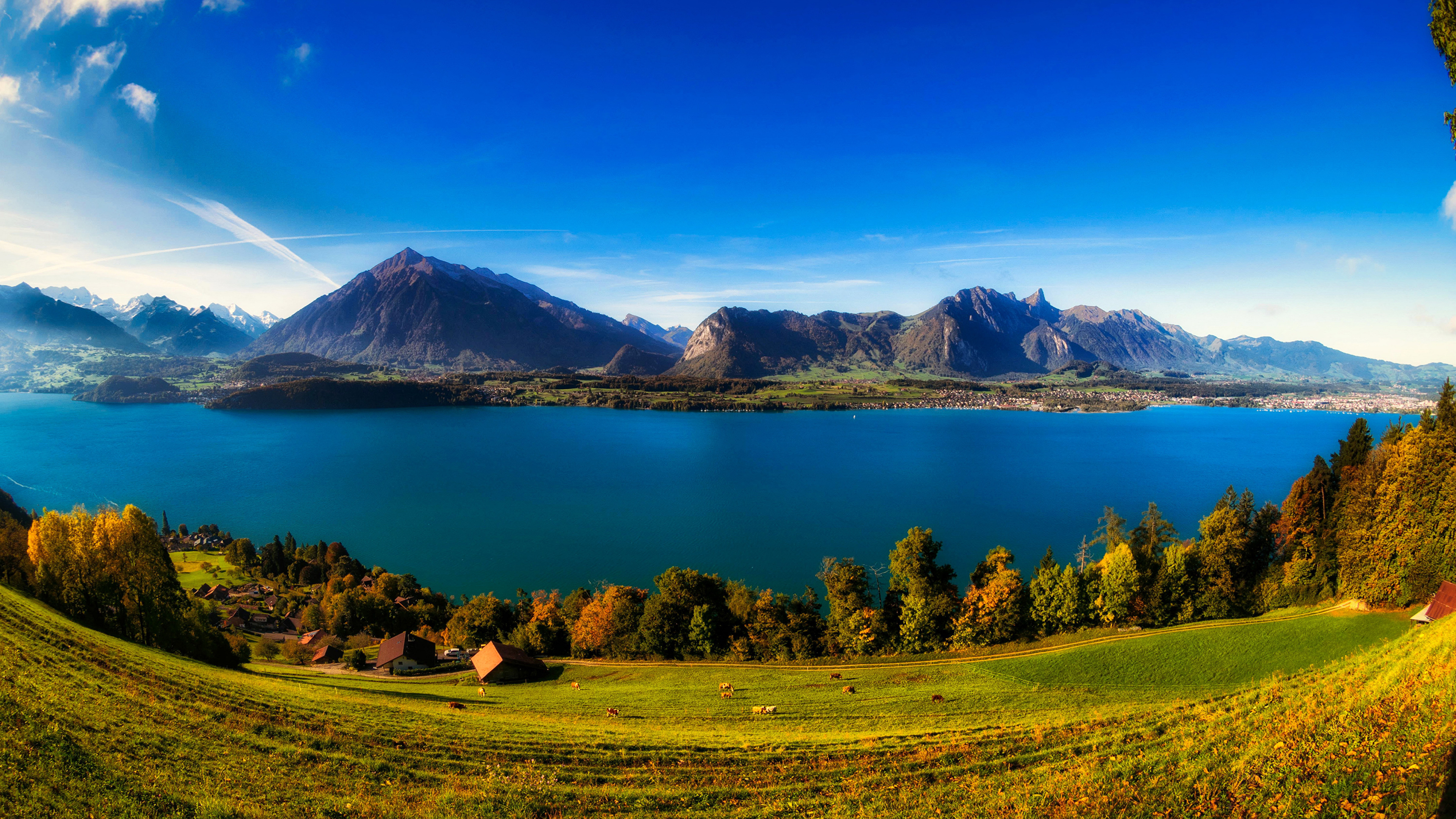 Wallpaper Switzerland Lake Thun Nature