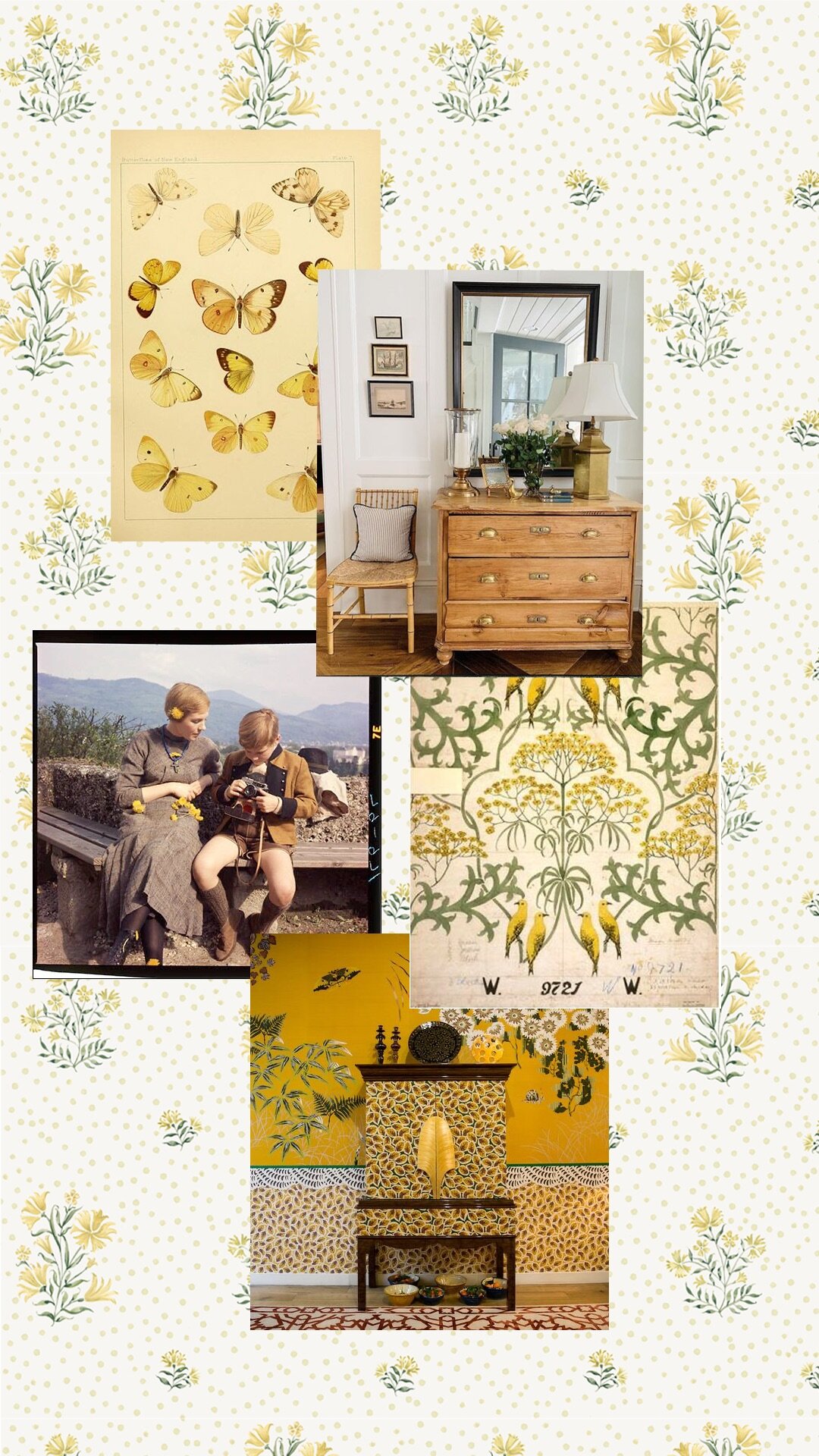 Setting the Mood: Moodboards for Our