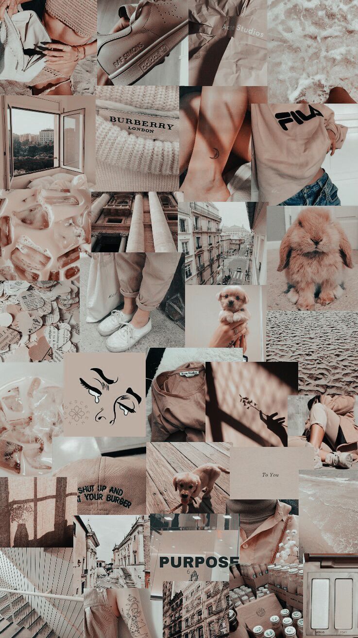 Everything in this board