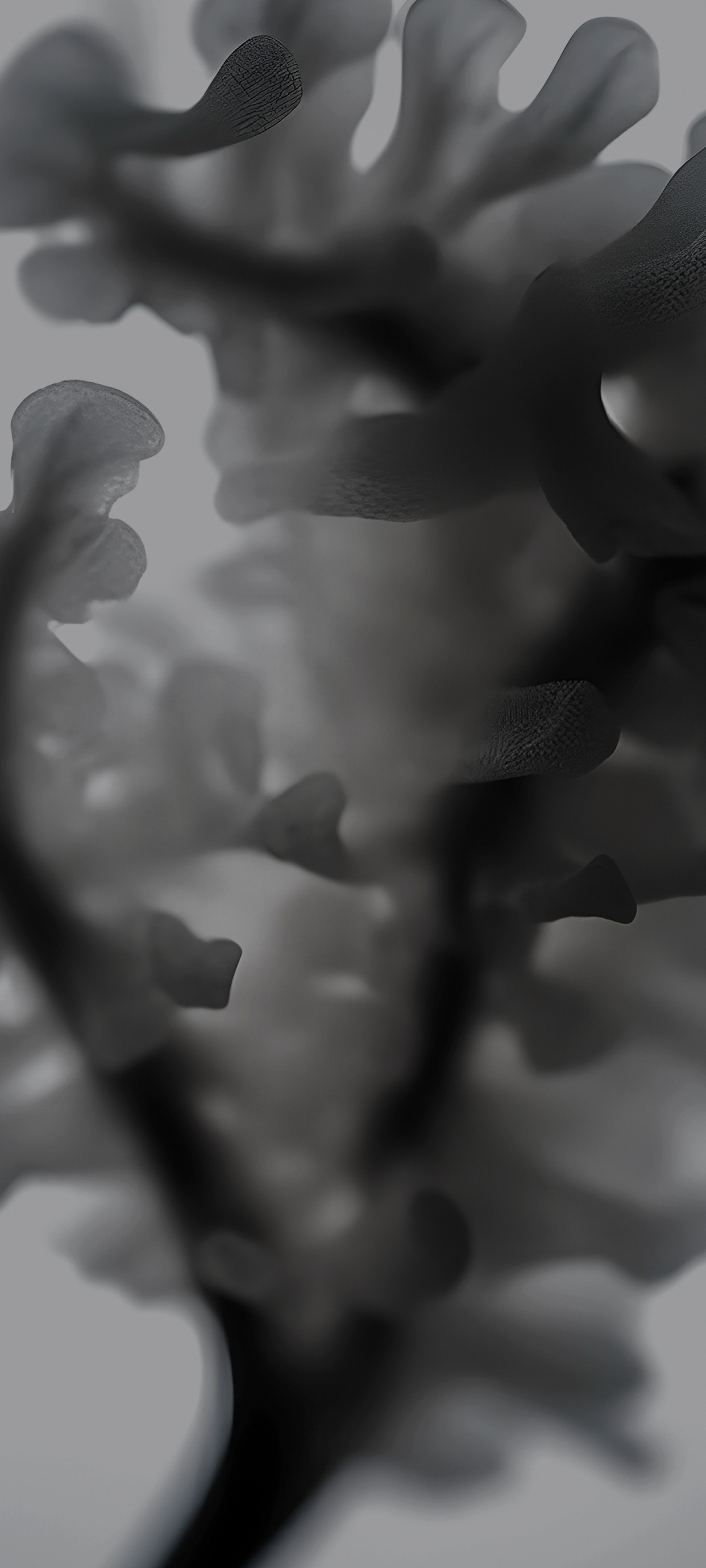 Wallpaper are removed with updates