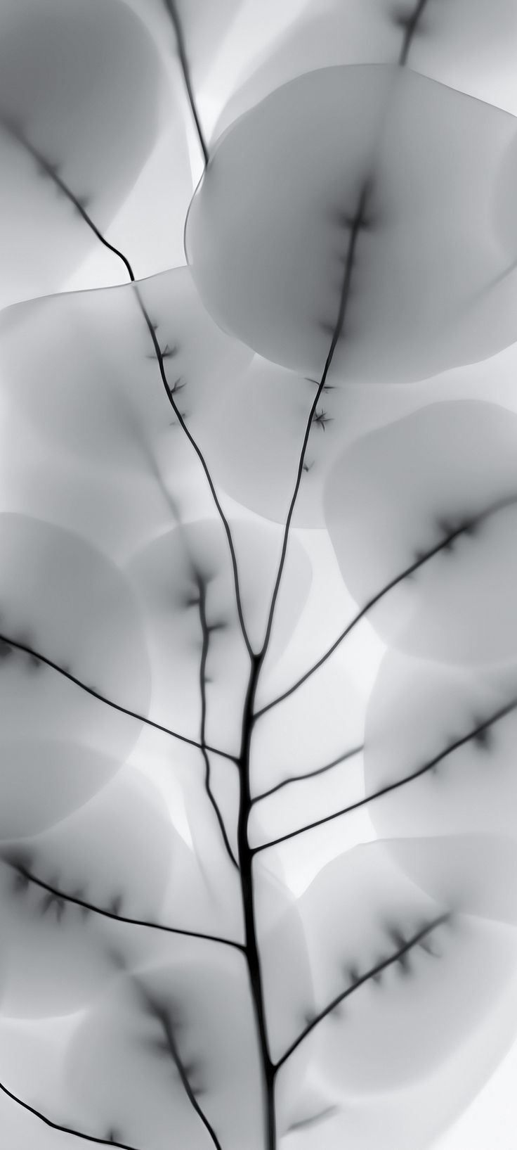 Nothing Phone 2 Stock wallpaper