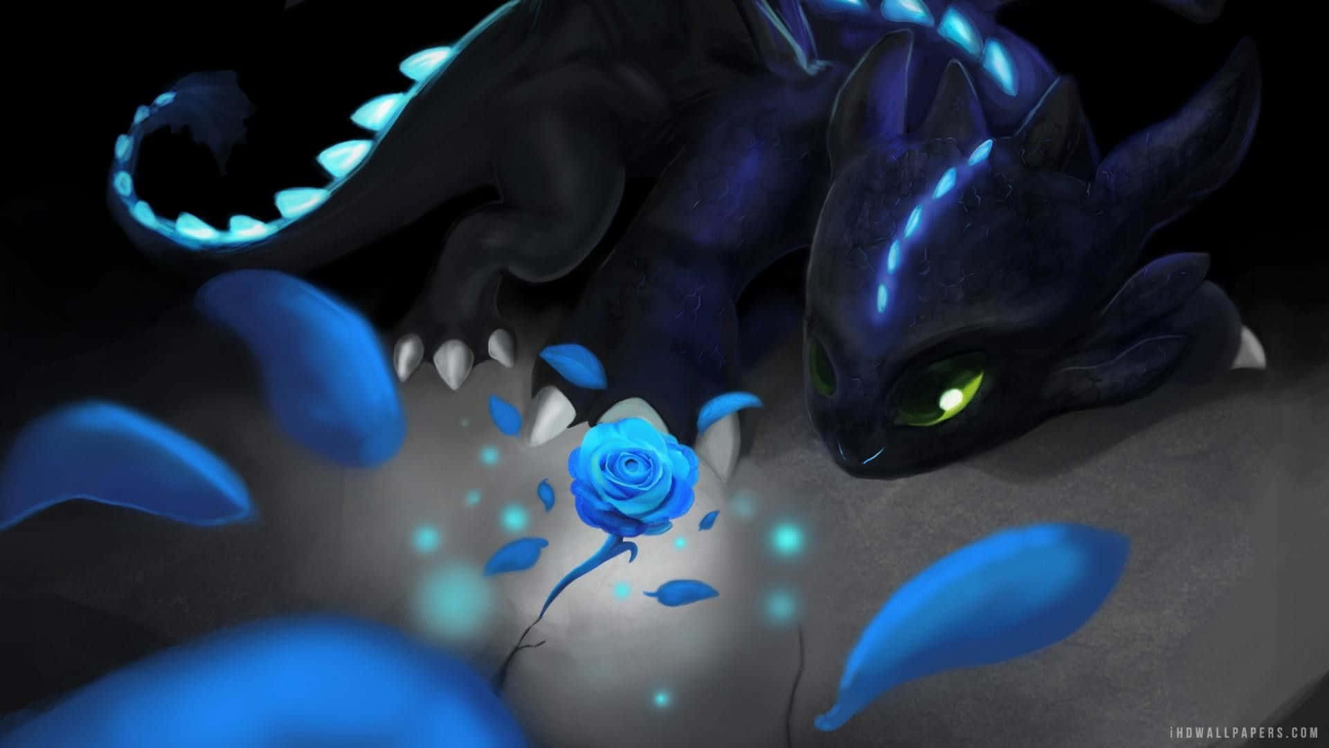 Toothless And Stitch Wallpaper