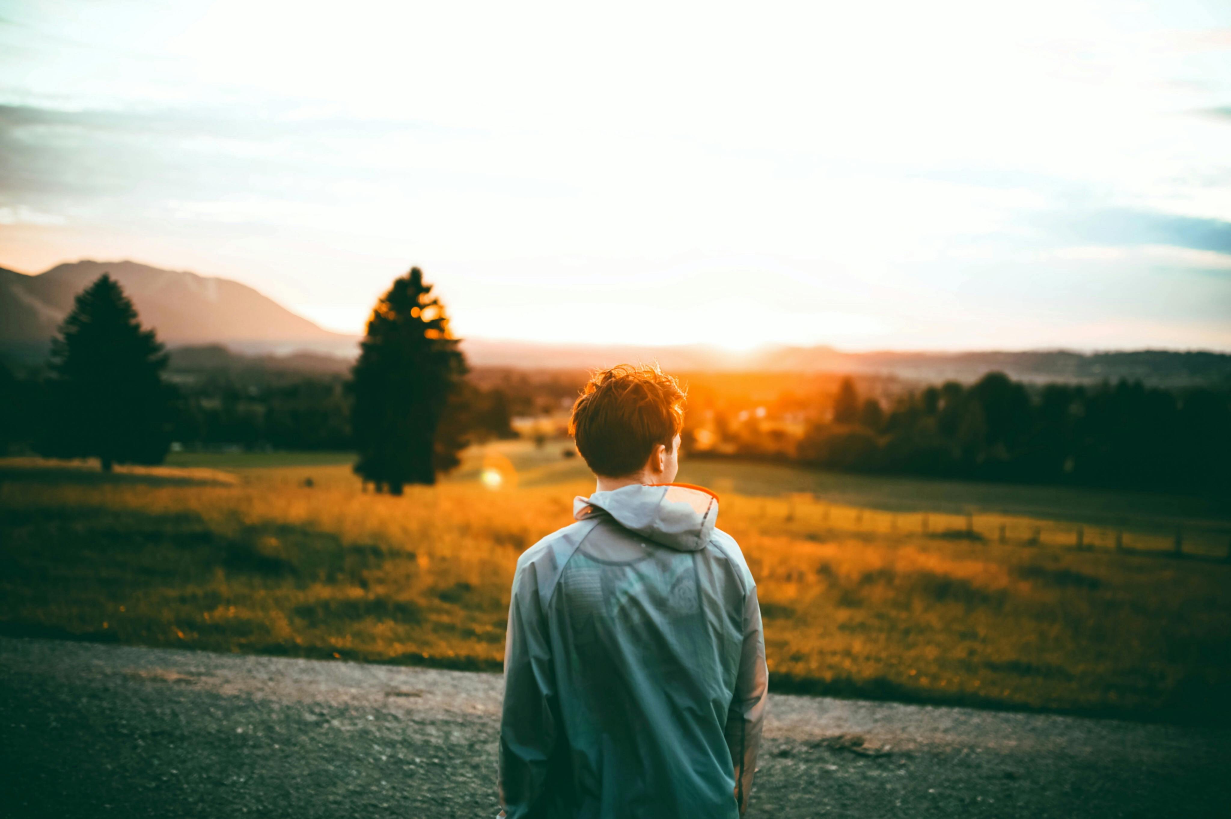 Beside Road Facing Sun · Free