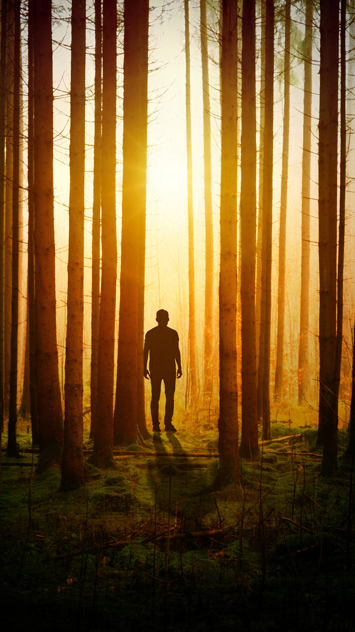 Tree Man Night Summer Nature Wallpaper