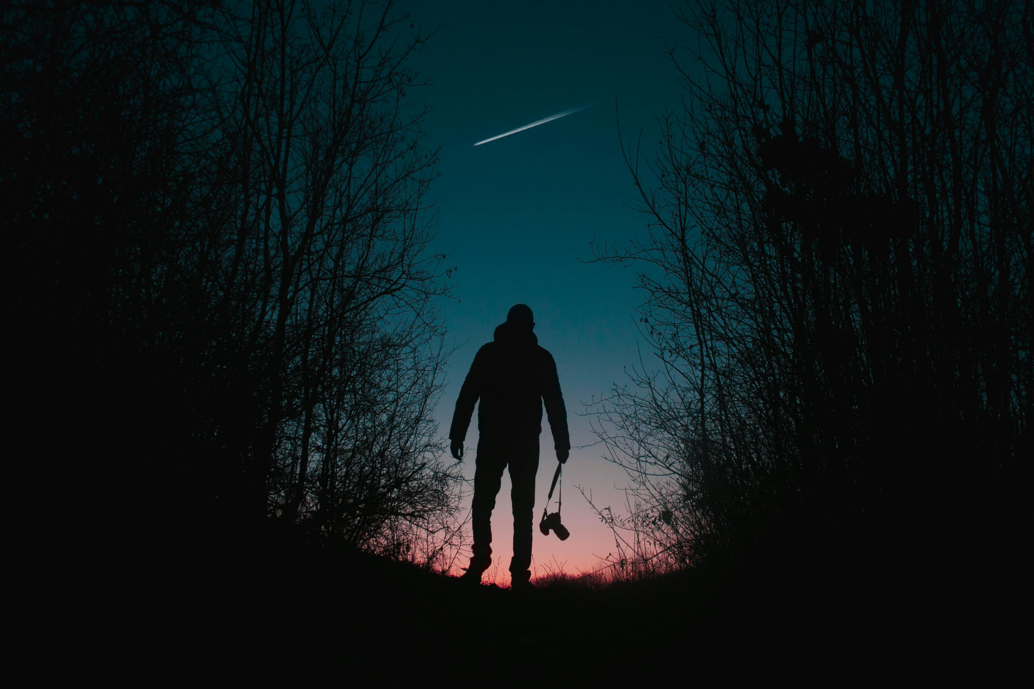 Silhouette Of Man And Trees · Free