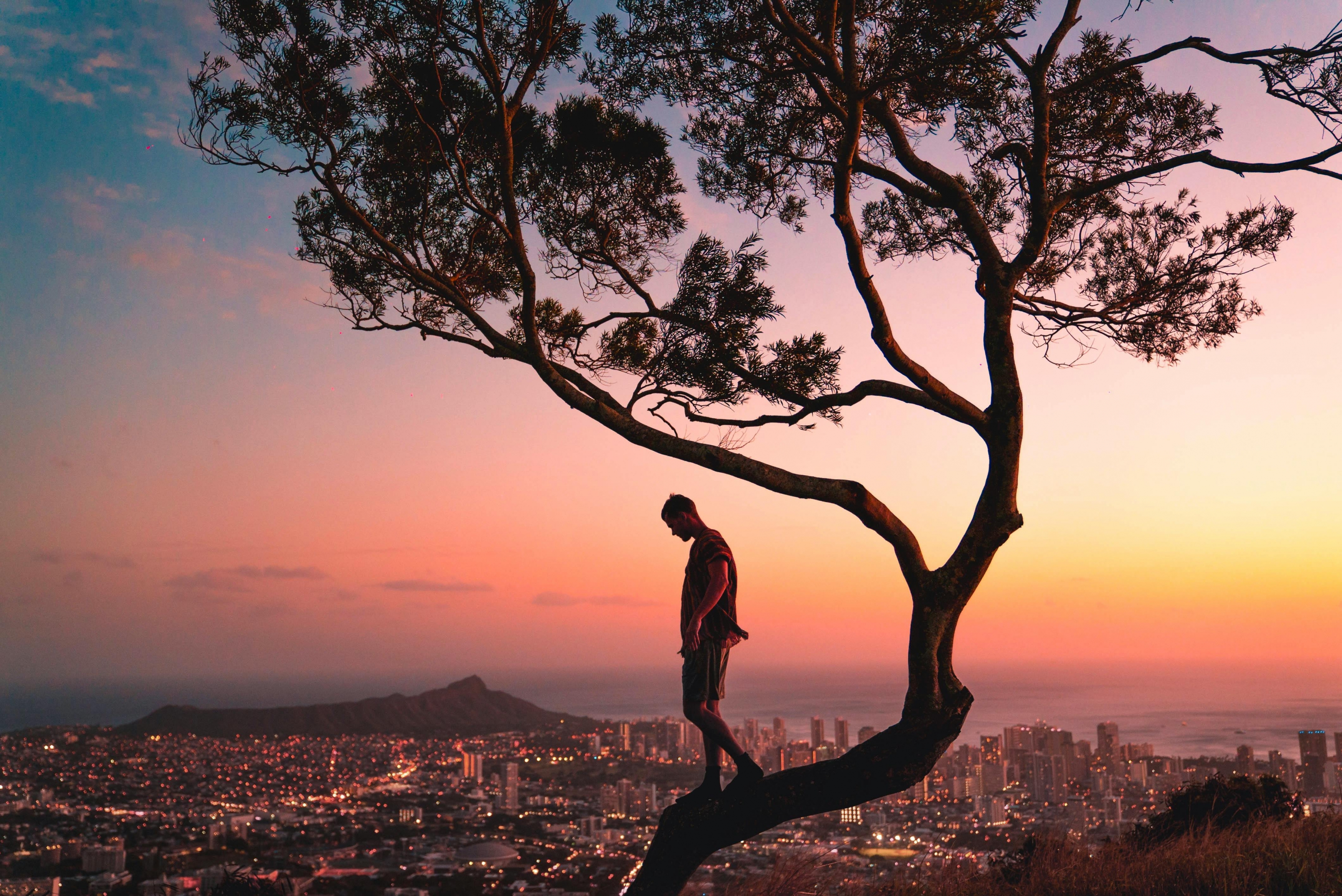 Stunning Sunset City Landscape