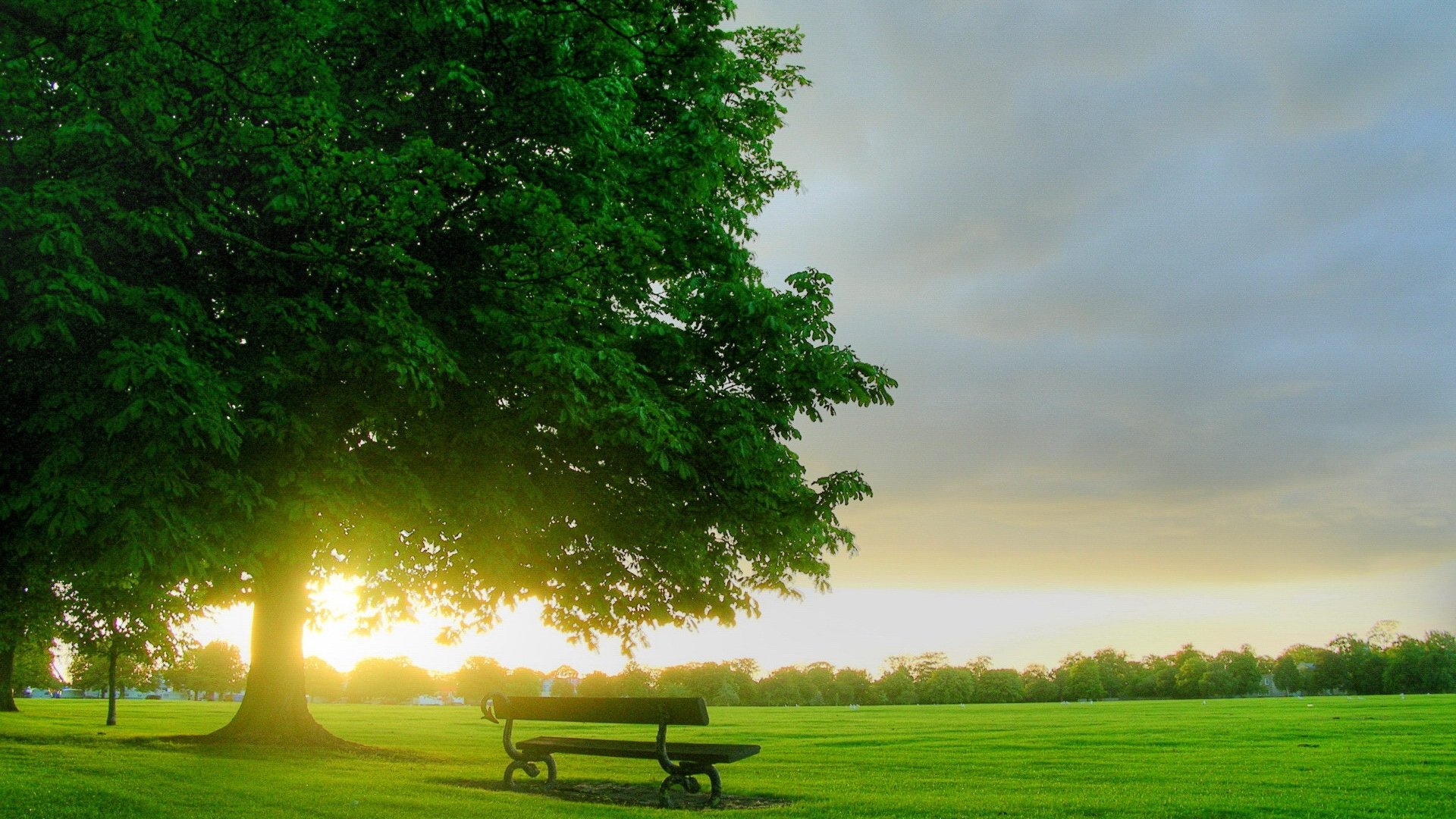 Nature Earth Man Made Bench HD Wallpaper