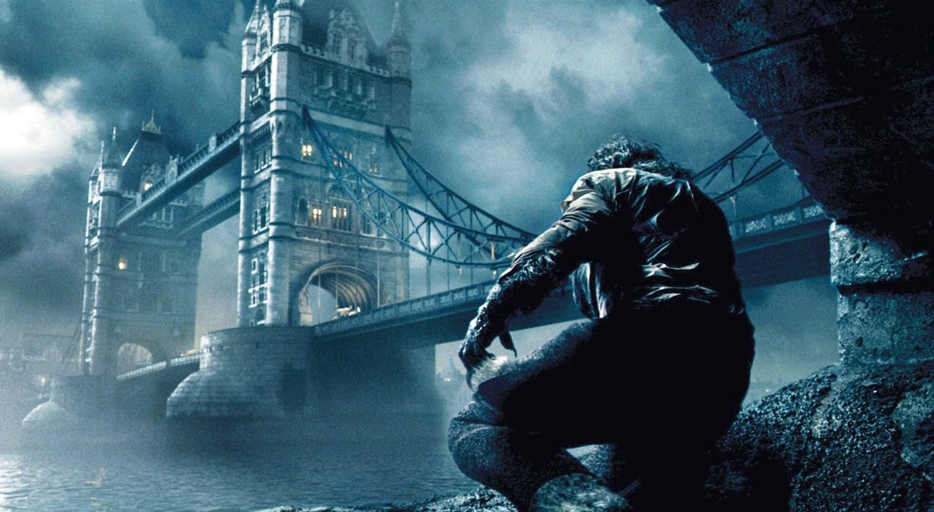 Download Captivating 1920x1080 HD Movie