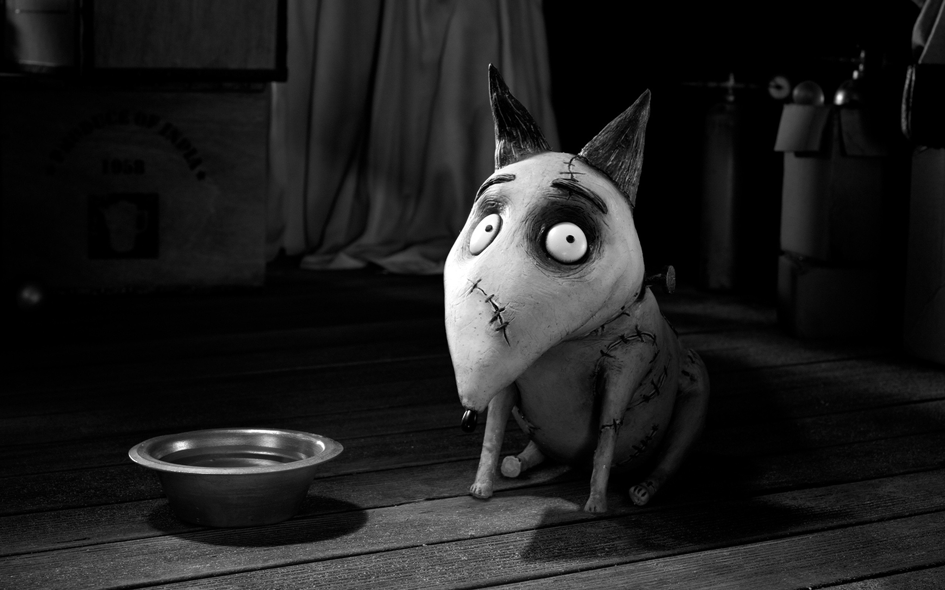Download Movie Frankenweenie HD Wallpaper