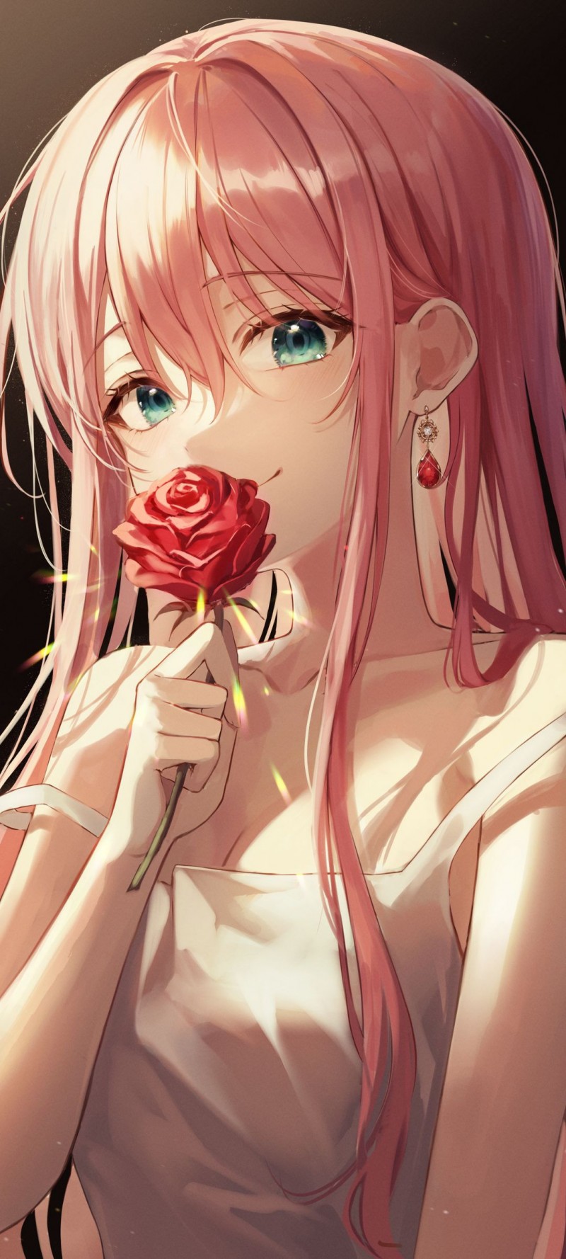 Red rose bg Download