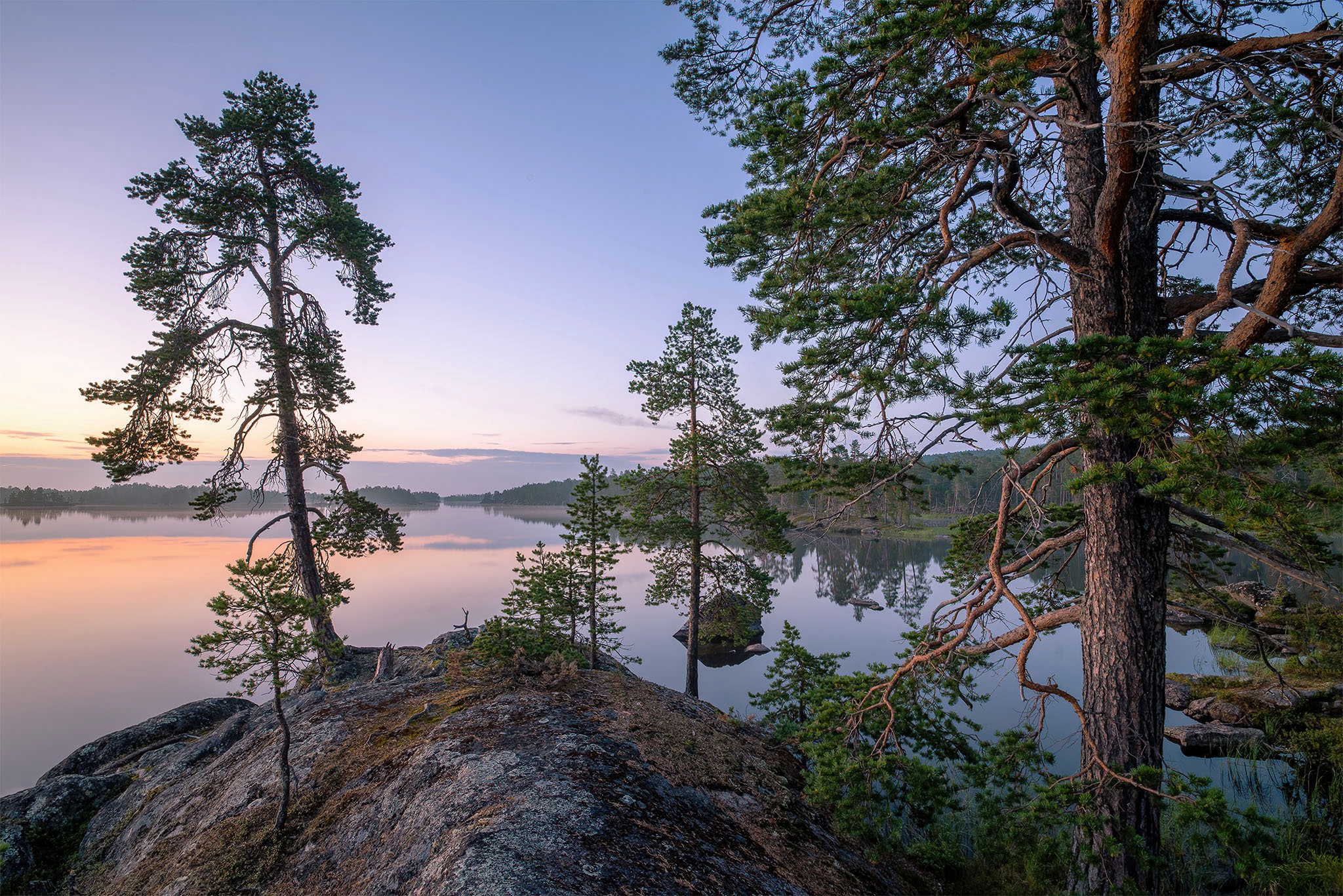 Wallpaper trees, lake, pine, Finland