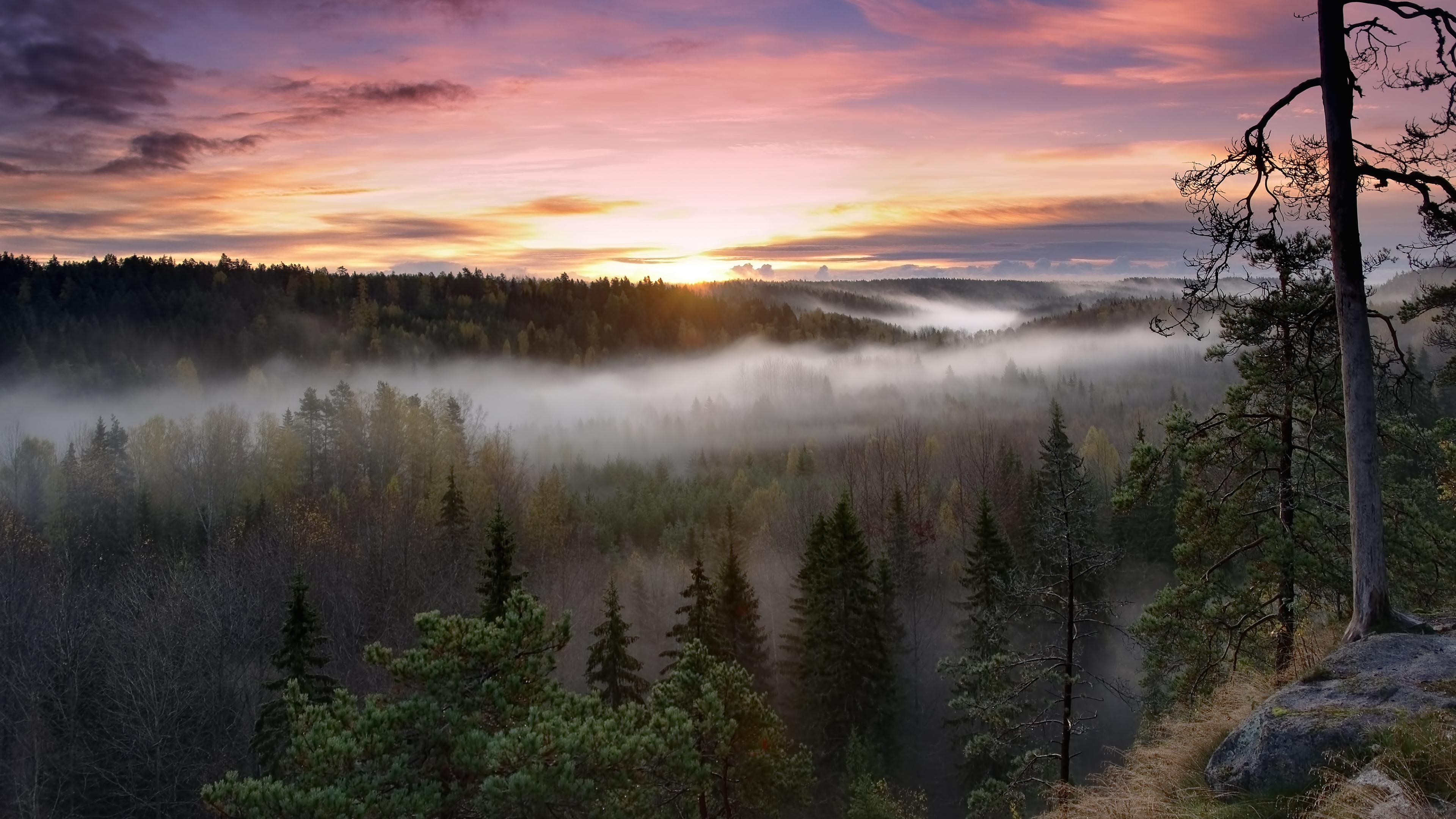 Wallpaper 4K, Finland, Sunrise, Fog, Forest