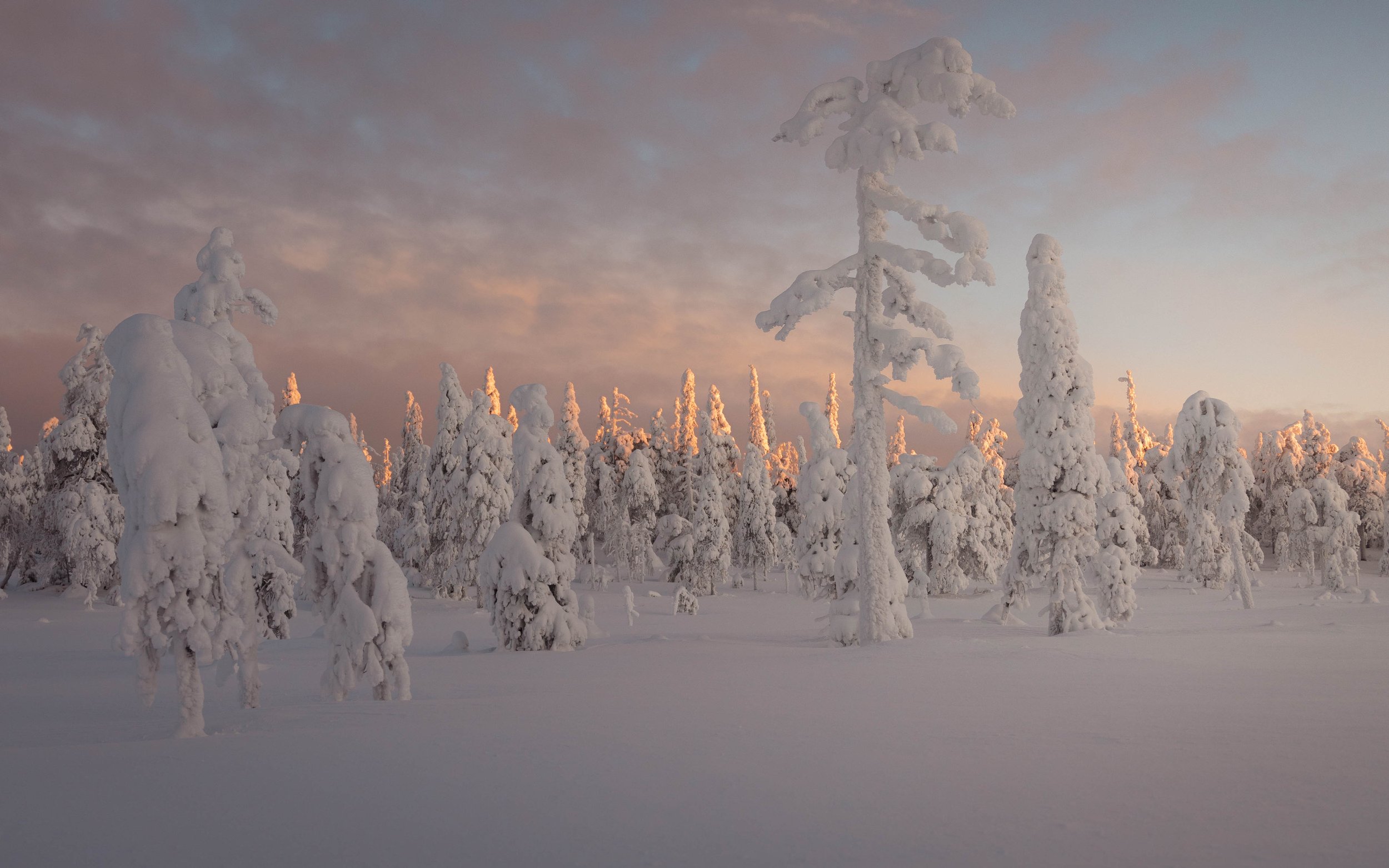 An introduction to Finland