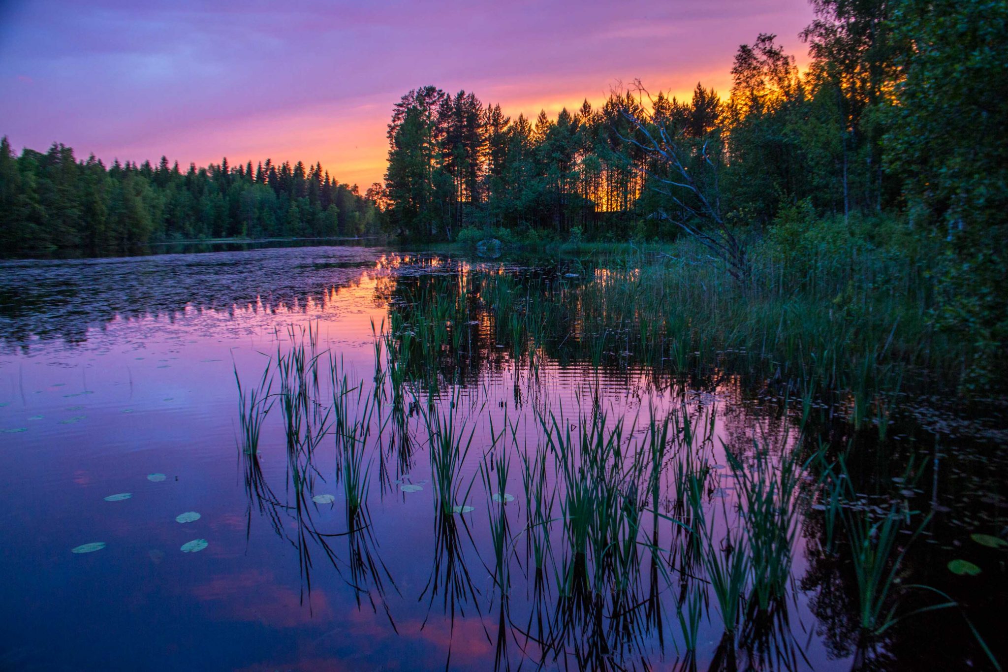 Stunning Image Of The Midnight Sun