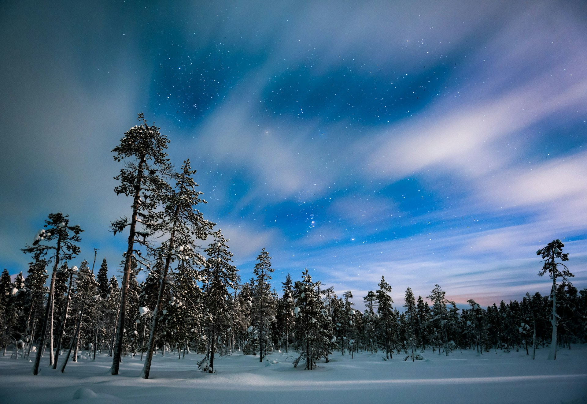Lapland Winter Landscapes & Northern