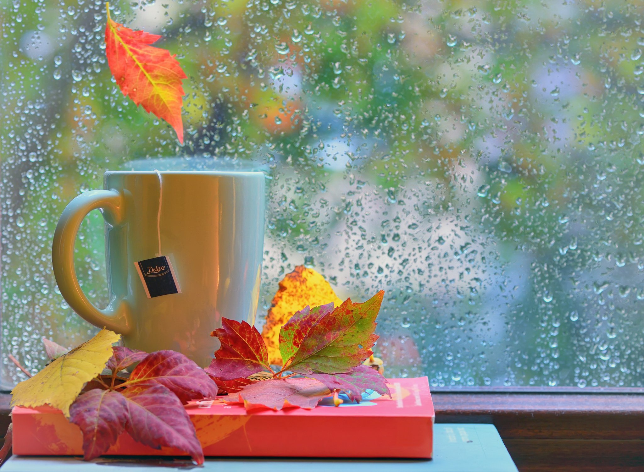 Wallpaper autumn, leaves, drops, rain, window, Cup, book, still life for mobile and desktop, section настроения, resolution 2048x1502