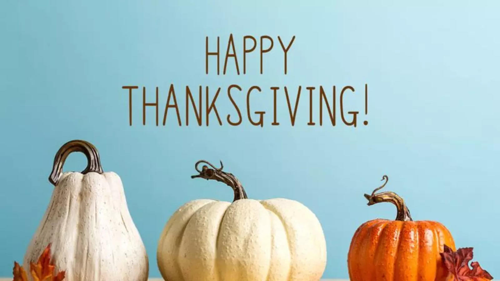 Happy Thanksgiving 2024: Heartfelt